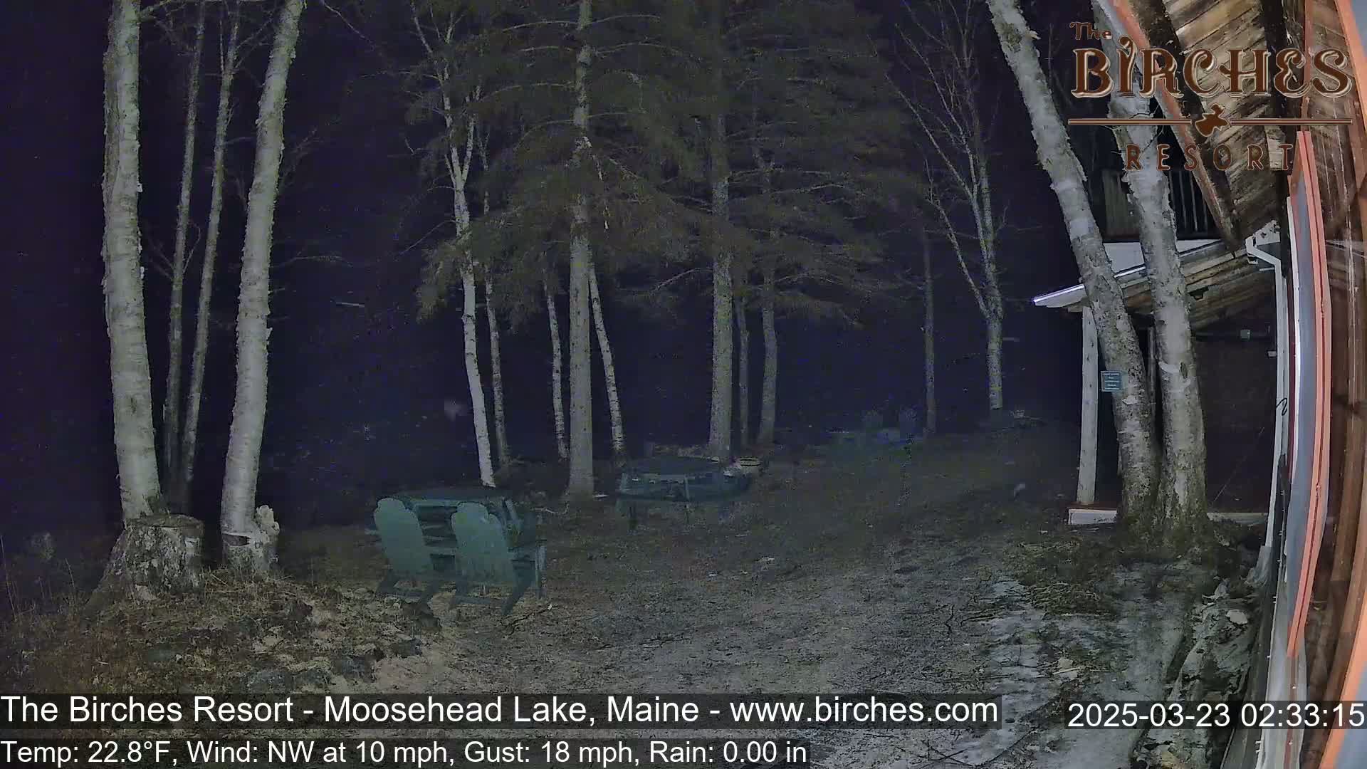 A nighttime scene of a resort area shows a gravel path leading to a building between several birch trees under a dark, rainy sky.