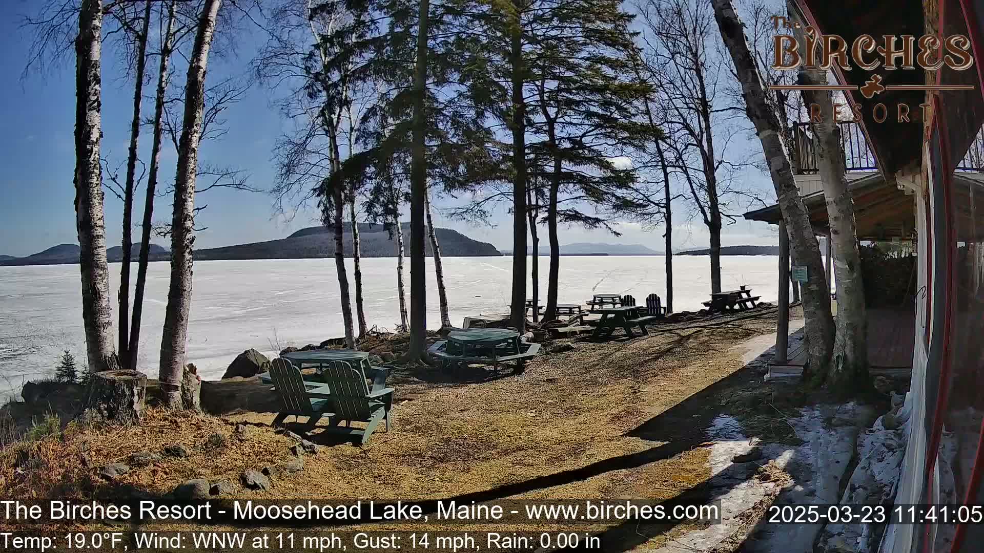 A sunny, cold day reveals a frozen lake with several picnic tables and chairs situated near a lakeside building and birch trees.