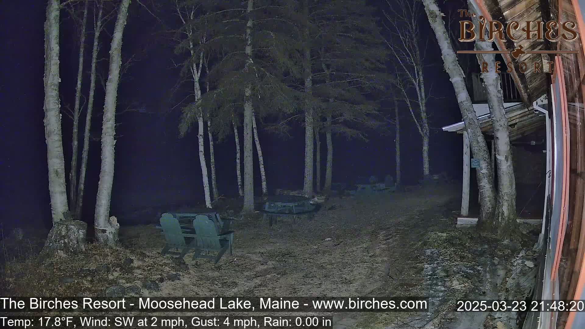 A nighttime outdoor scene shows a sparsely lit patio area with several empty chairs and tables situated amongst birch trees under a dark sky.
