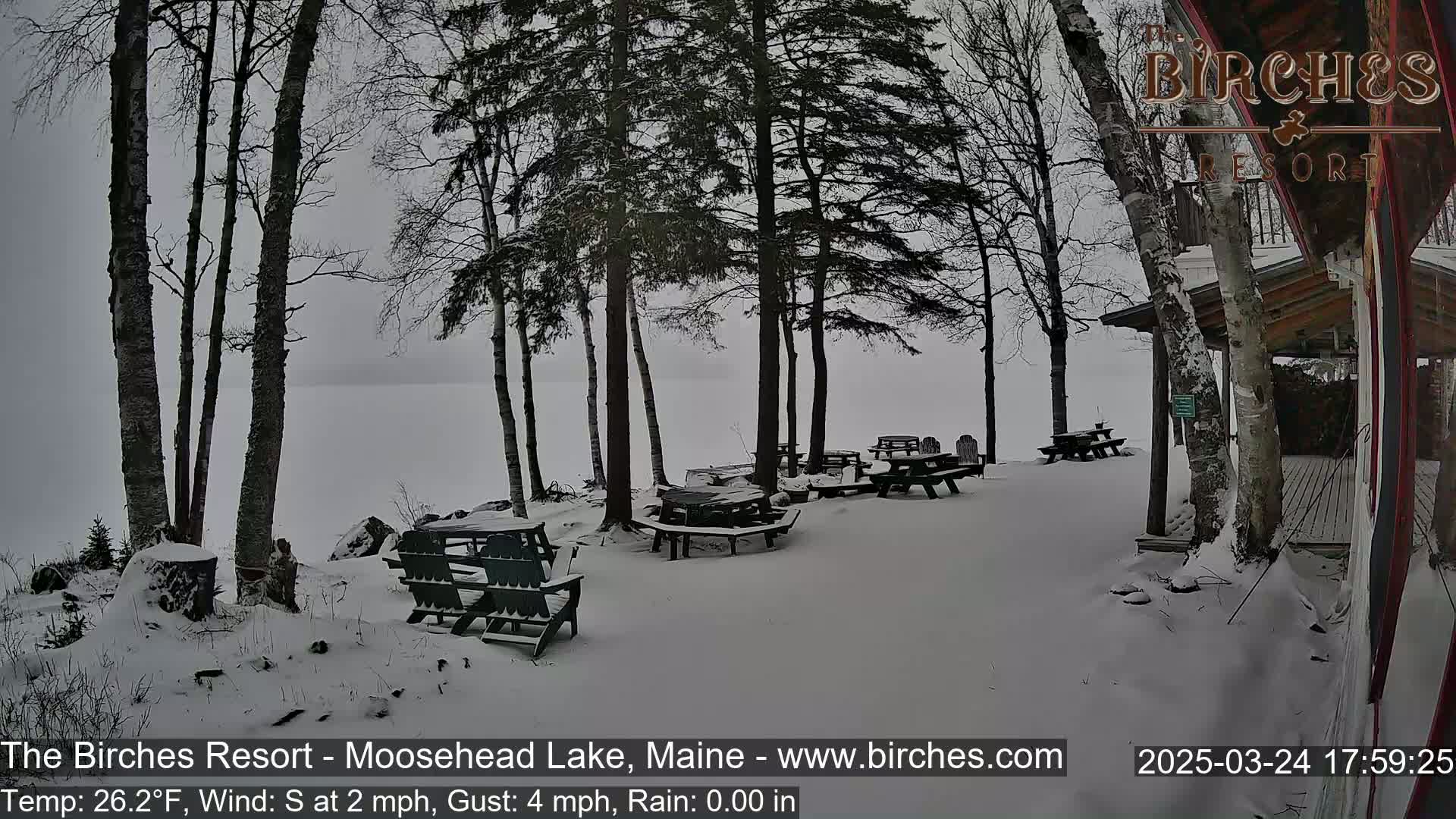 A snow-covered lakeside patio with picnic tables and Adirondack chairs sits beneath bare trees in overcast weather.