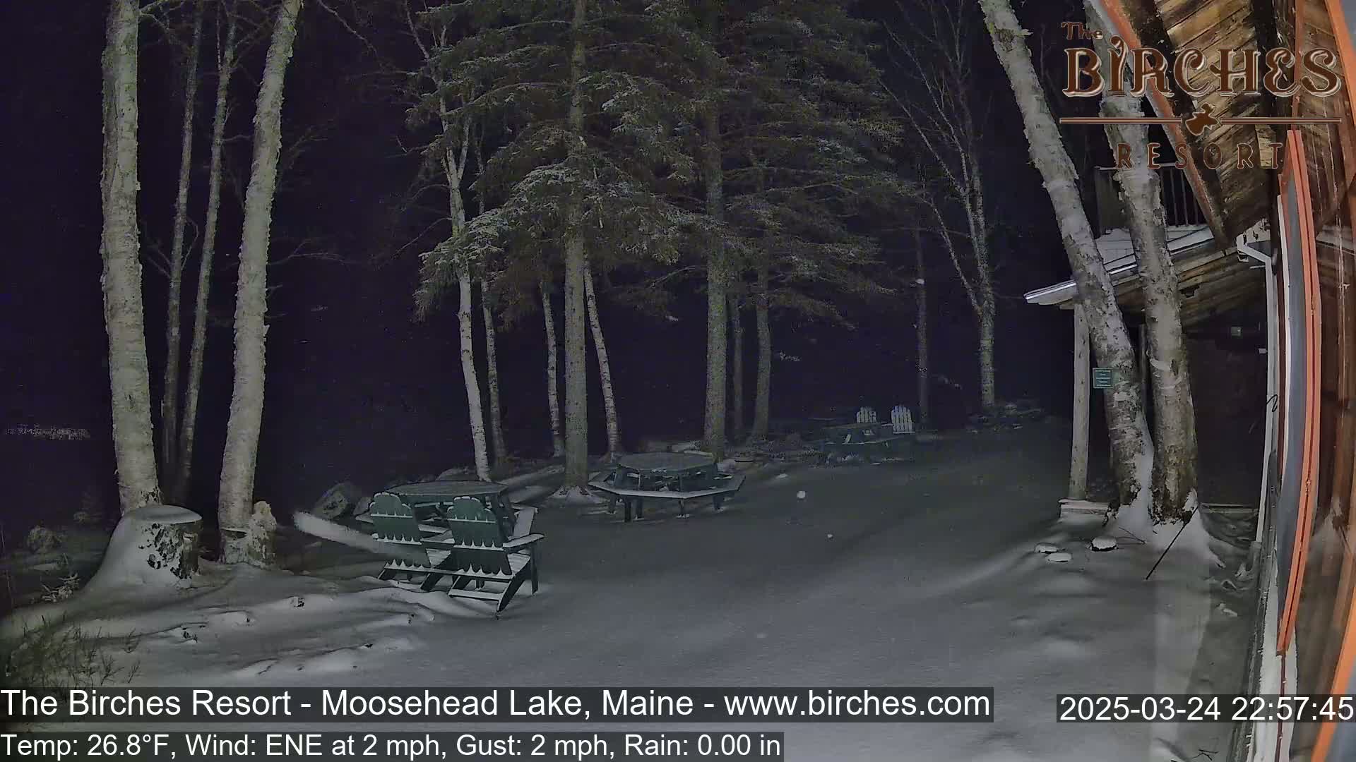 A snow-covered outdoor area at night, illuminated by artificial light, shows several picnic tables and chairs beneath birch trees with a building in the background; a light wind is blowing.