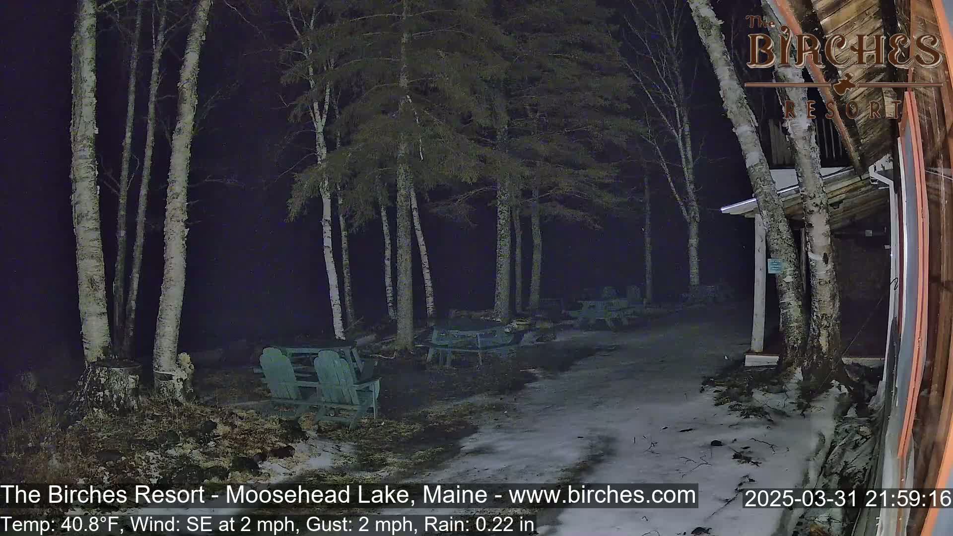 A nighttime scene shows several empty teal Adirondack chairs and picnic tables situated near birch trees in a snowy area with light rain.