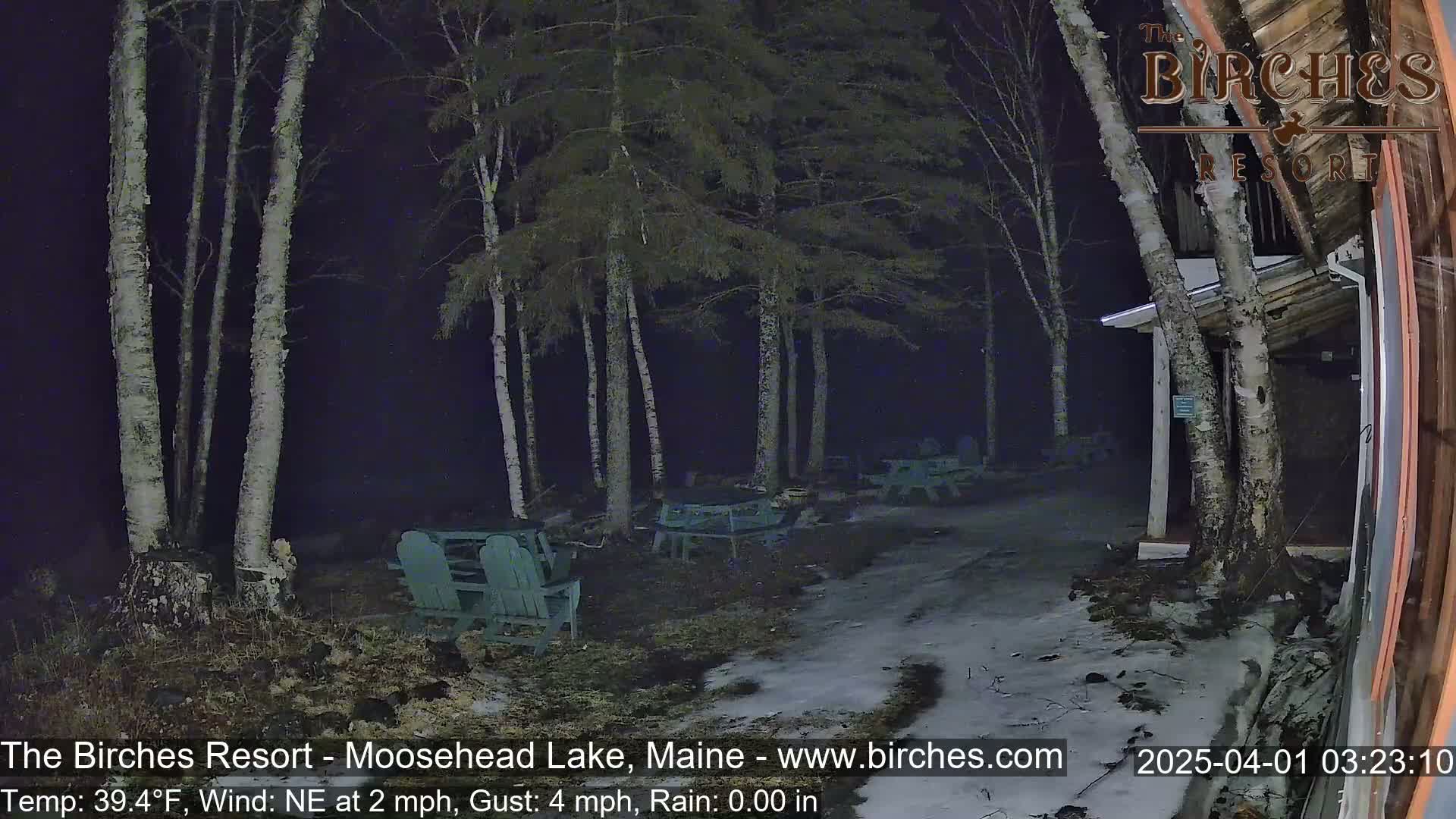 A nighttime view of a snow-covered path leading to several empty picnic tables and chairs under birch trees in rainy weather.