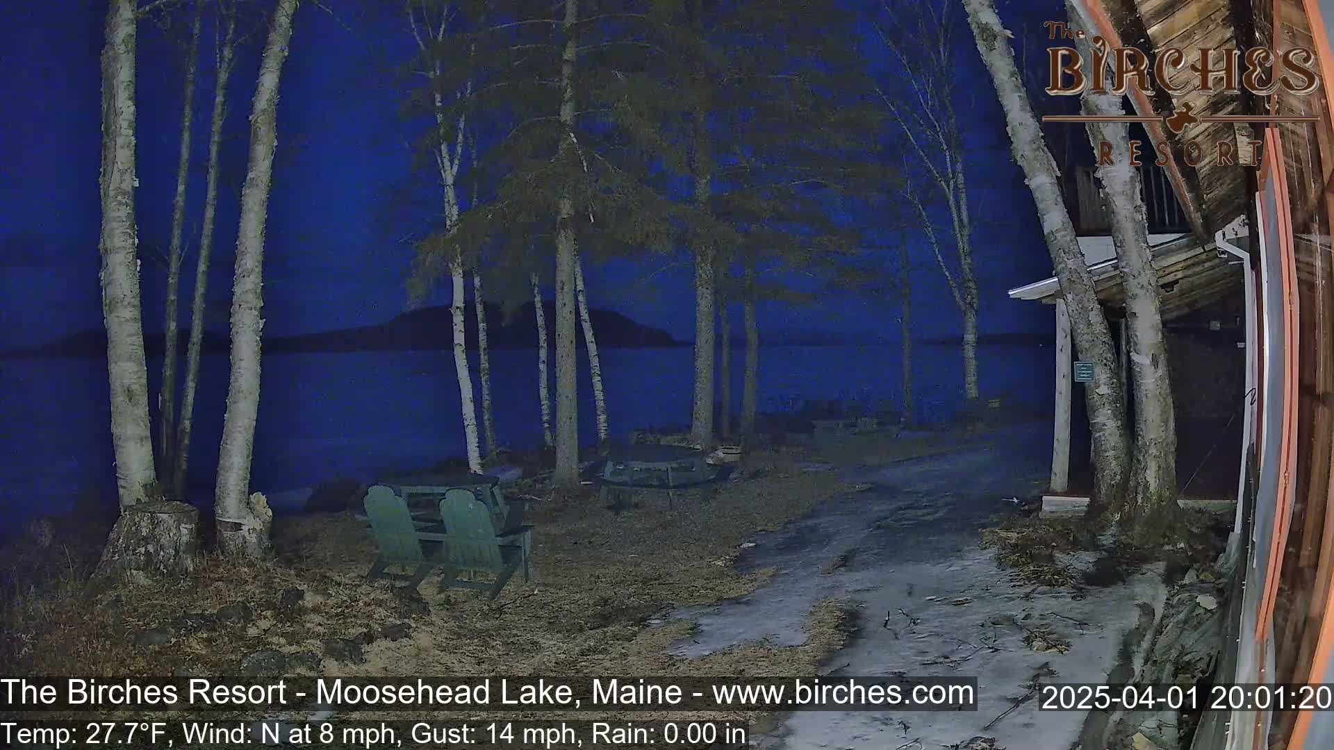 A nighttime view of a lakeside area with several birch trees, a partially snow-covered ground, and outdoor furniture, under a dark blue, clear sky.