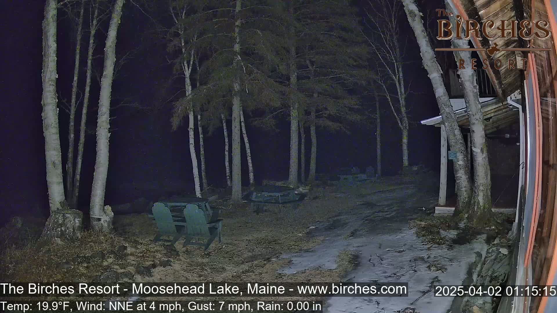 A nighttime scene showing a partially snow-covered ground with several birch trees, picnic tables, and chairs in the rain, with a building visible in the background.
