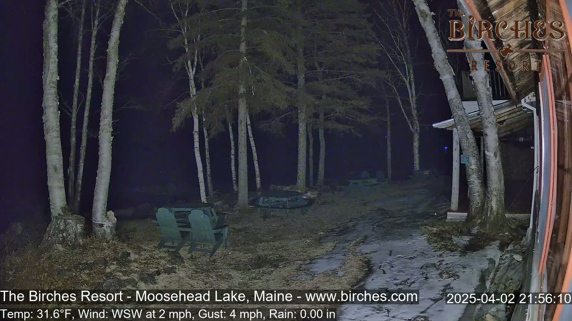 A nighttime outdoor scene shows a partially snow-covered path near some birch trees and outdoor seating, under a dark sky with a slight wind.
