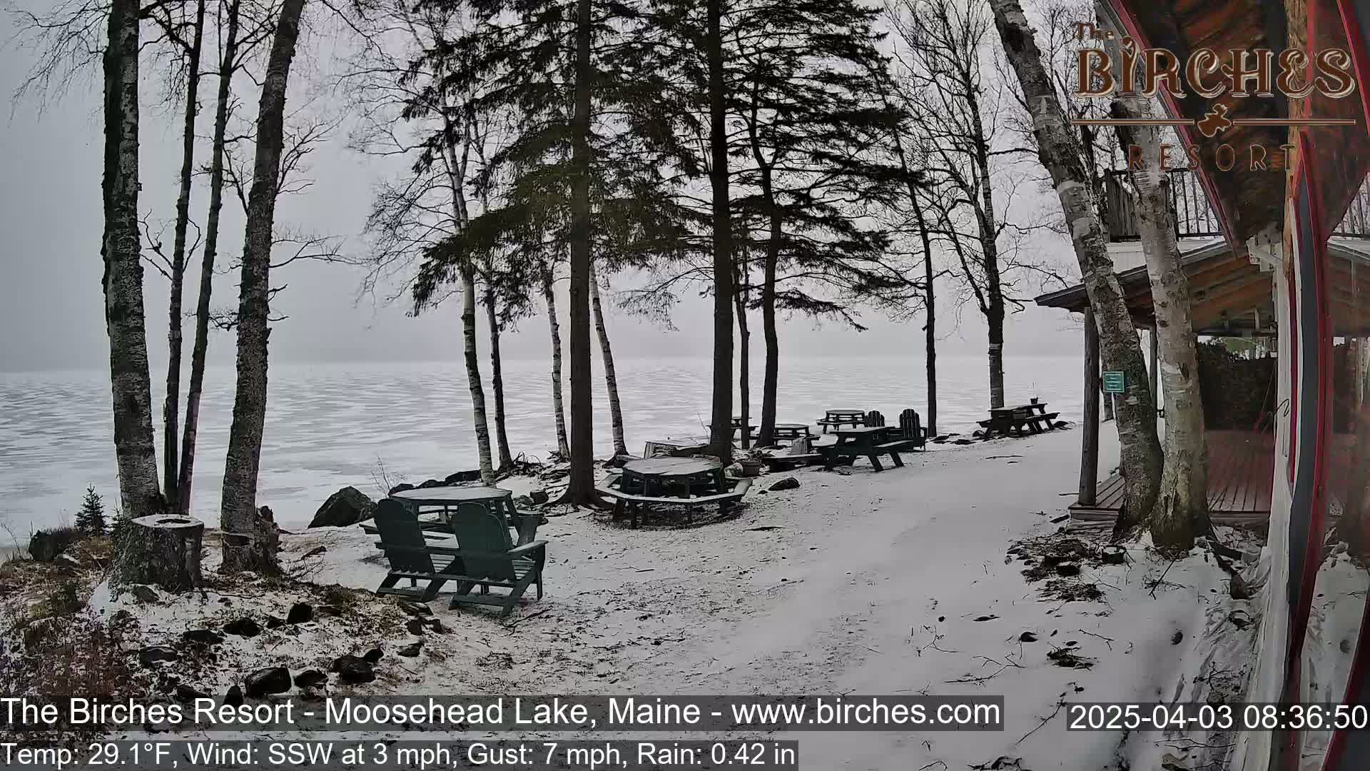Snow-covered picnic tables and Adirondack chairs sit near a partially frozen lake under an overcast sky.