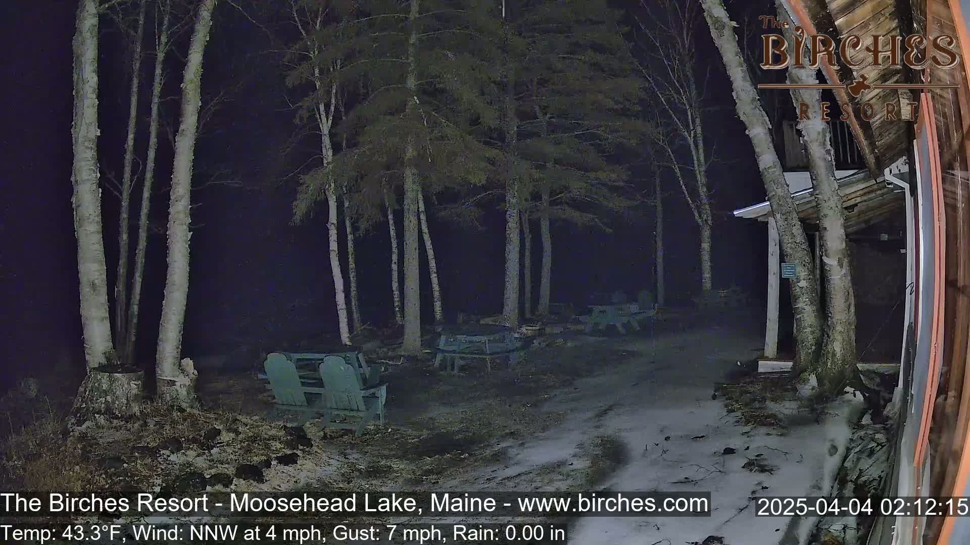 A nighttime scene shows several empty Adirondack chairs and tables situated near birch trees and a building under a dark, rainy sky.