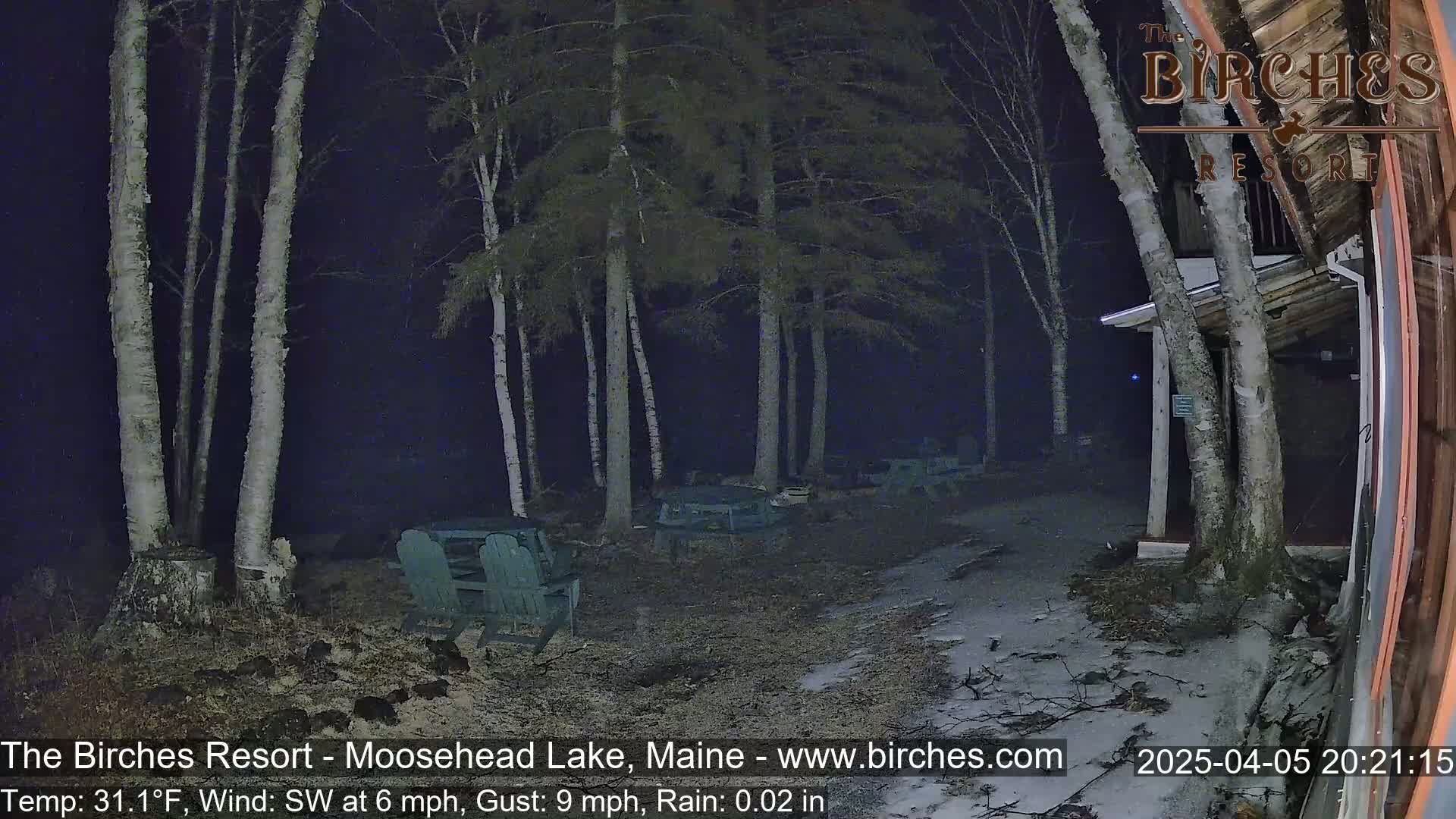 A nighttime scene shows a sparsely populated patio area with several empty chairs and tables under birch trees in light rain.