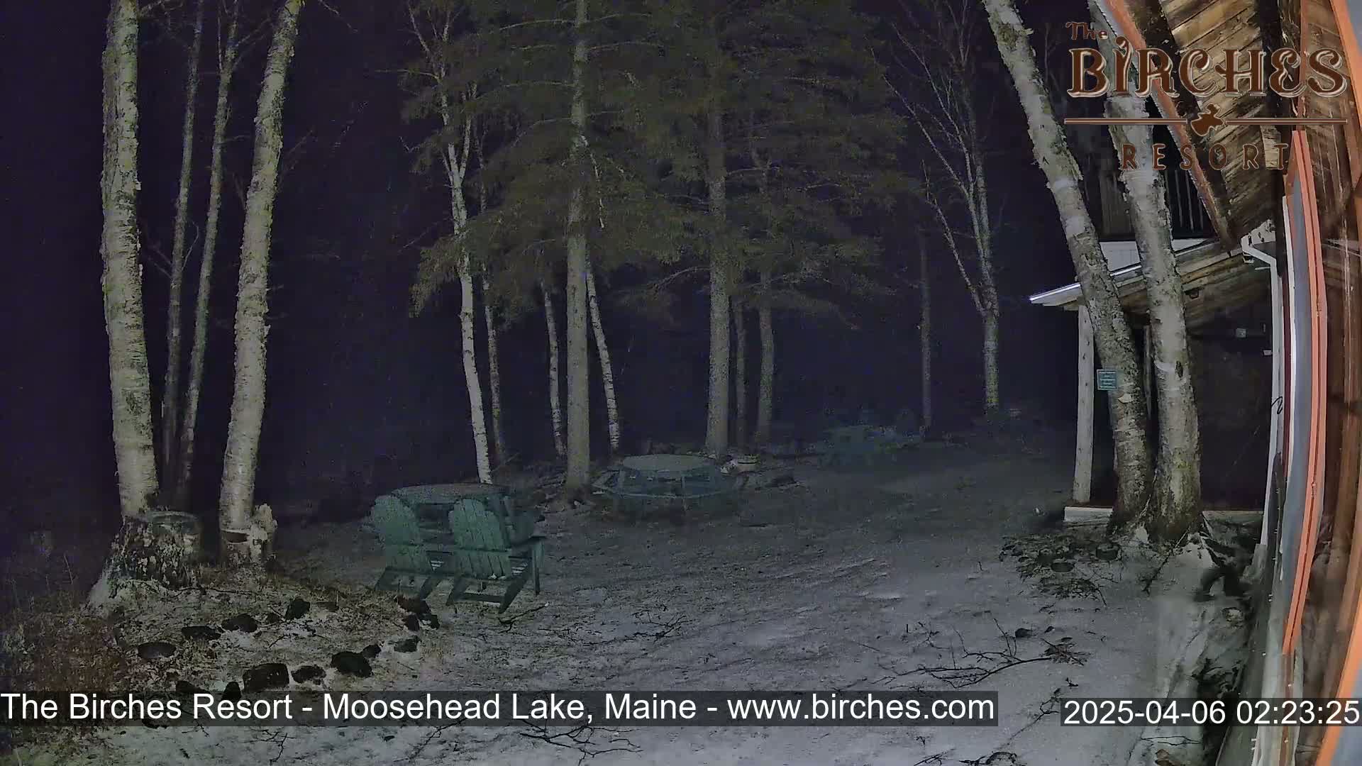 A snow-covered ground at night, under a dark sky, shows several birch trees surrounding a picnic table and a couple of green Adirondack chairs near a building.
