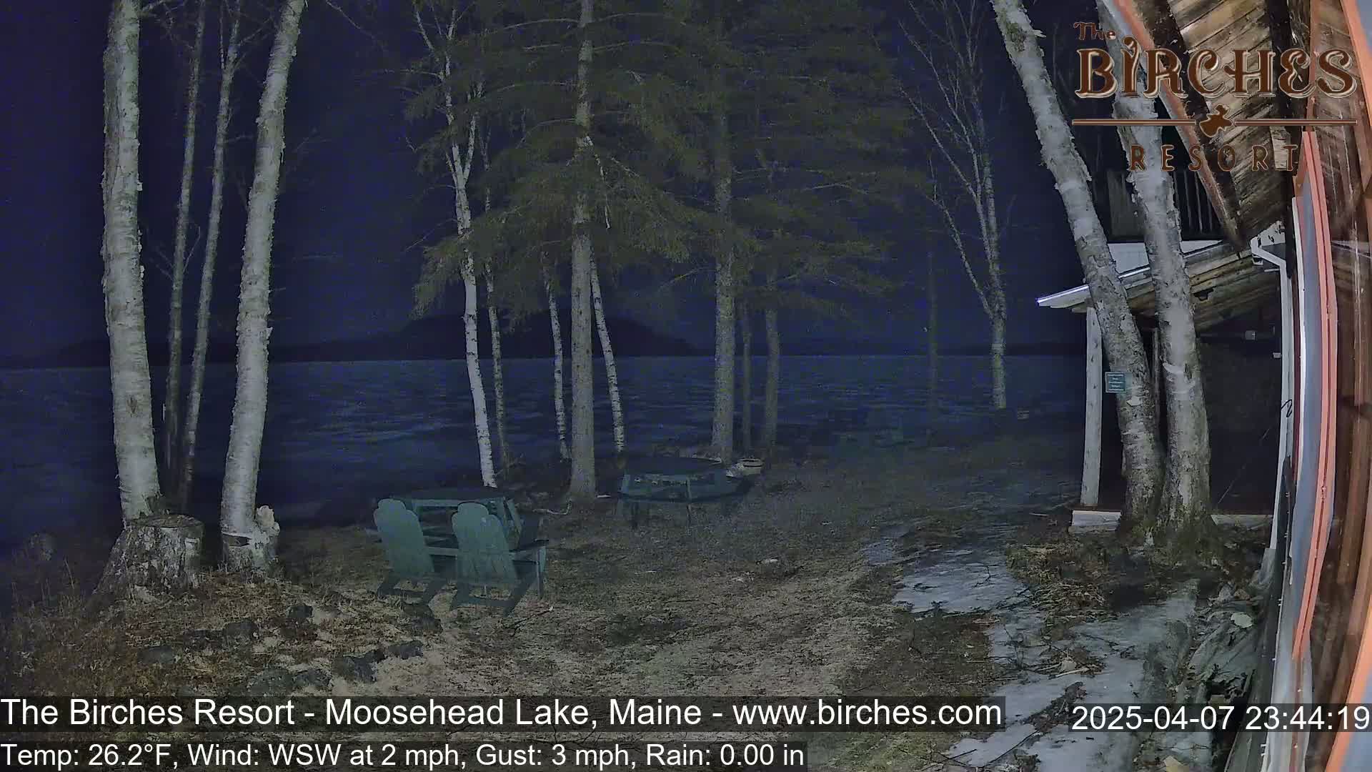 A nighttime lakeside scene shows several birch trees, a partly visible building, empty chairs at a table, and a dark, slightly wavy lake under a clear, dark sky.