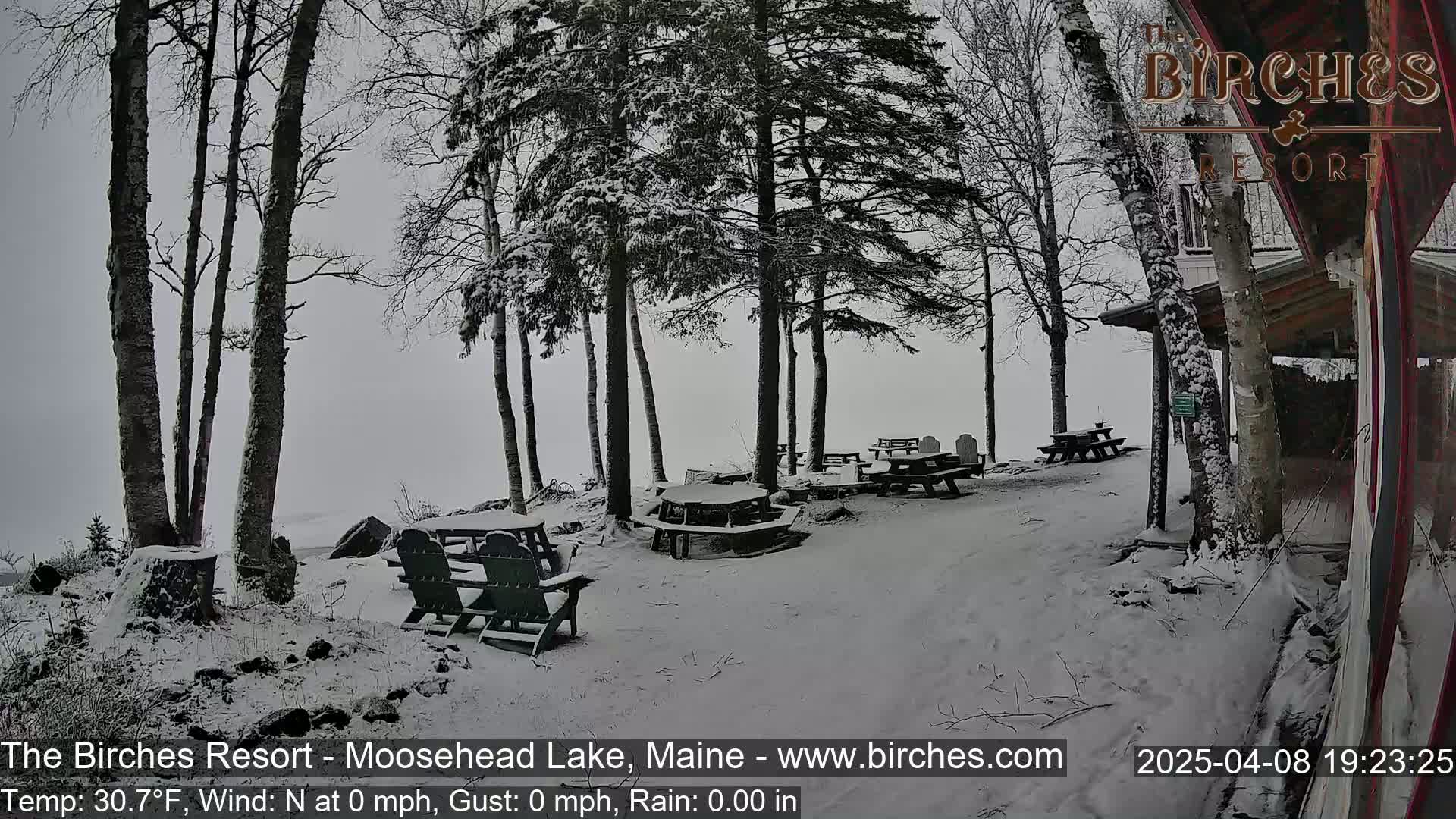 Snow-covered picnic tables and Adirondack chairs sit beneath snow-laden trees near a lake in a calm, snowy scene.