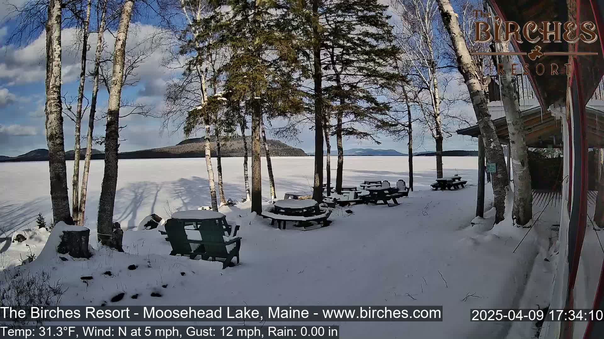 A snow-covered lakeside area with picnic tables and birch trees under a partly sunny sky.