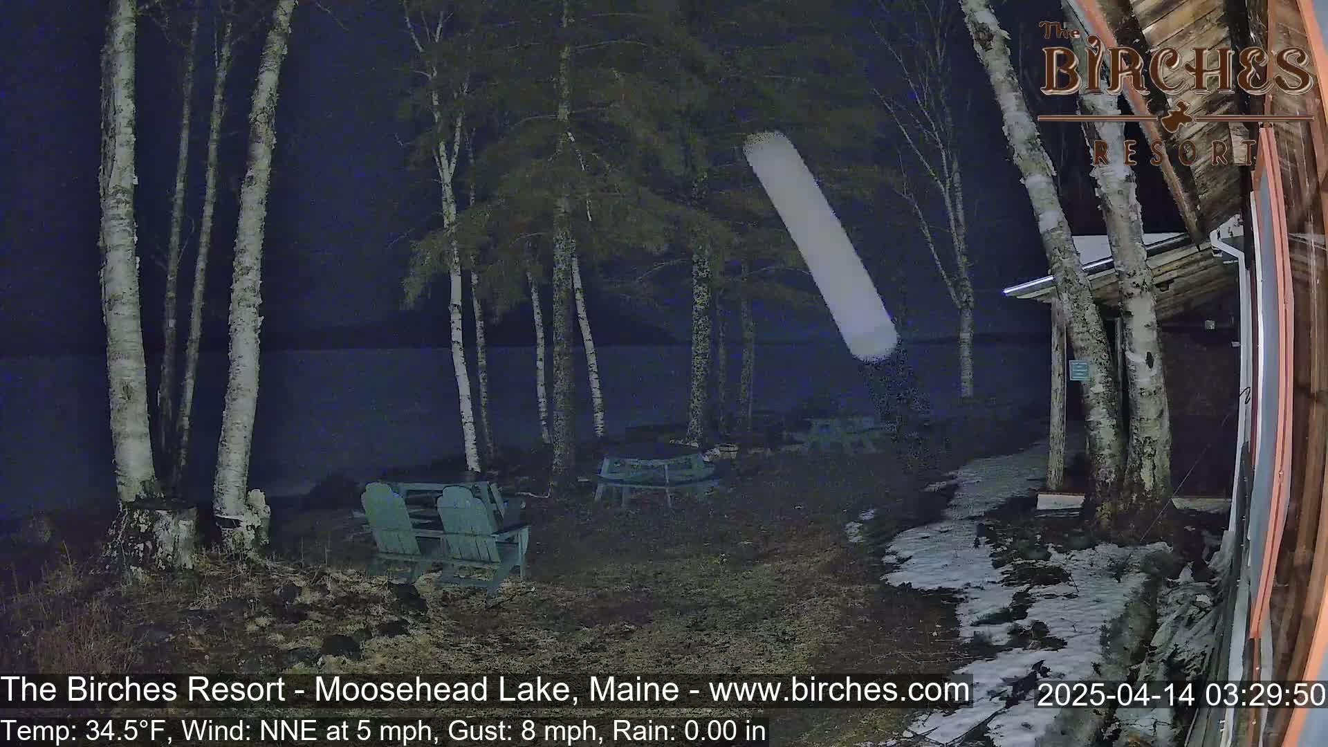 A nighttime view of a lakeside area with birch trees, empty Adirondack chairs, and patches of snow on the ground under rainy conditions.