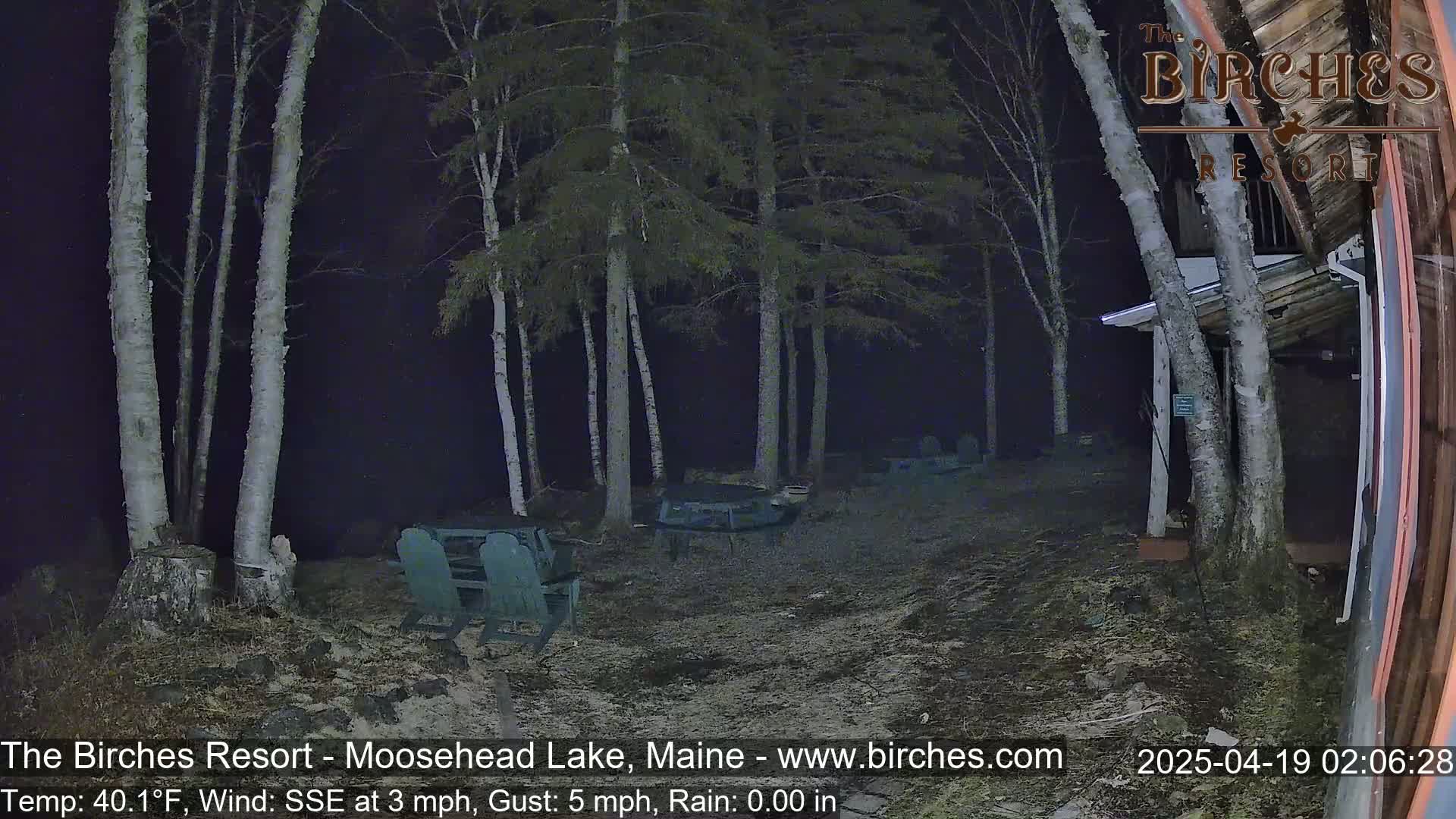 A nighttime scene shows a sparsely populated outdoor area with several birch trees, a few empty chairs and tables, and a building partially visible in the right corner, under rainy conditions.