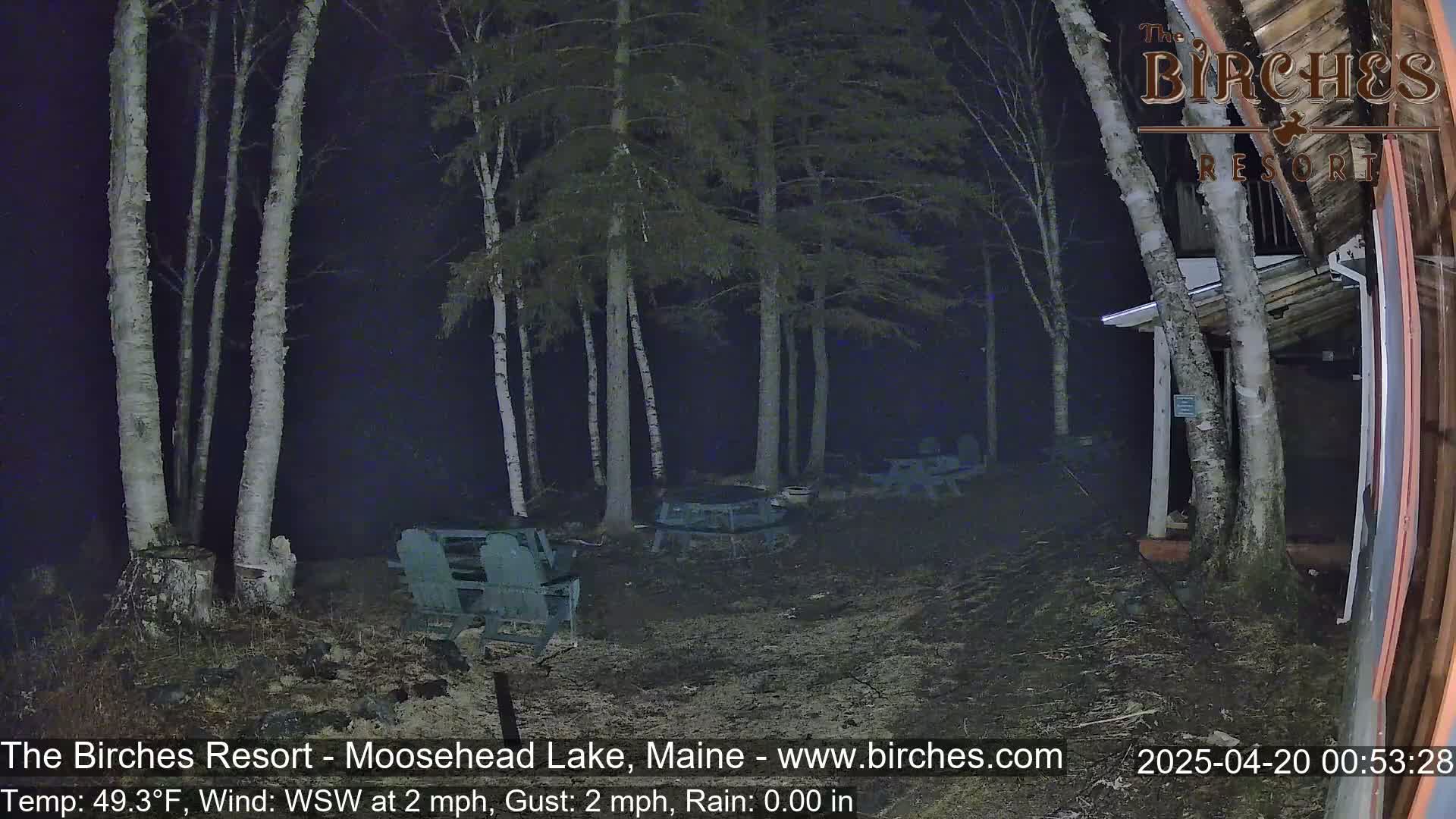 A nighttime view of a sparsely furnished patio area near birch trees under a dark sky, with a gentle wind blowing.