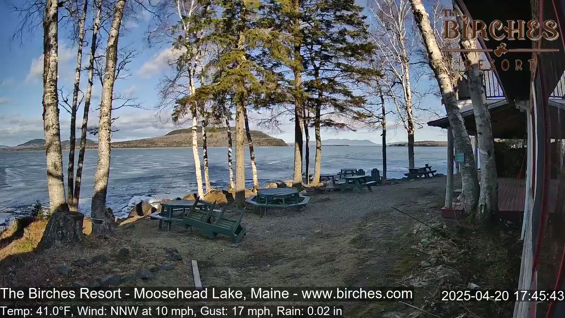 Several picnic tables sit in a gravel area near a lake under a partly cloudy sky, with birch trees and a building in the background.