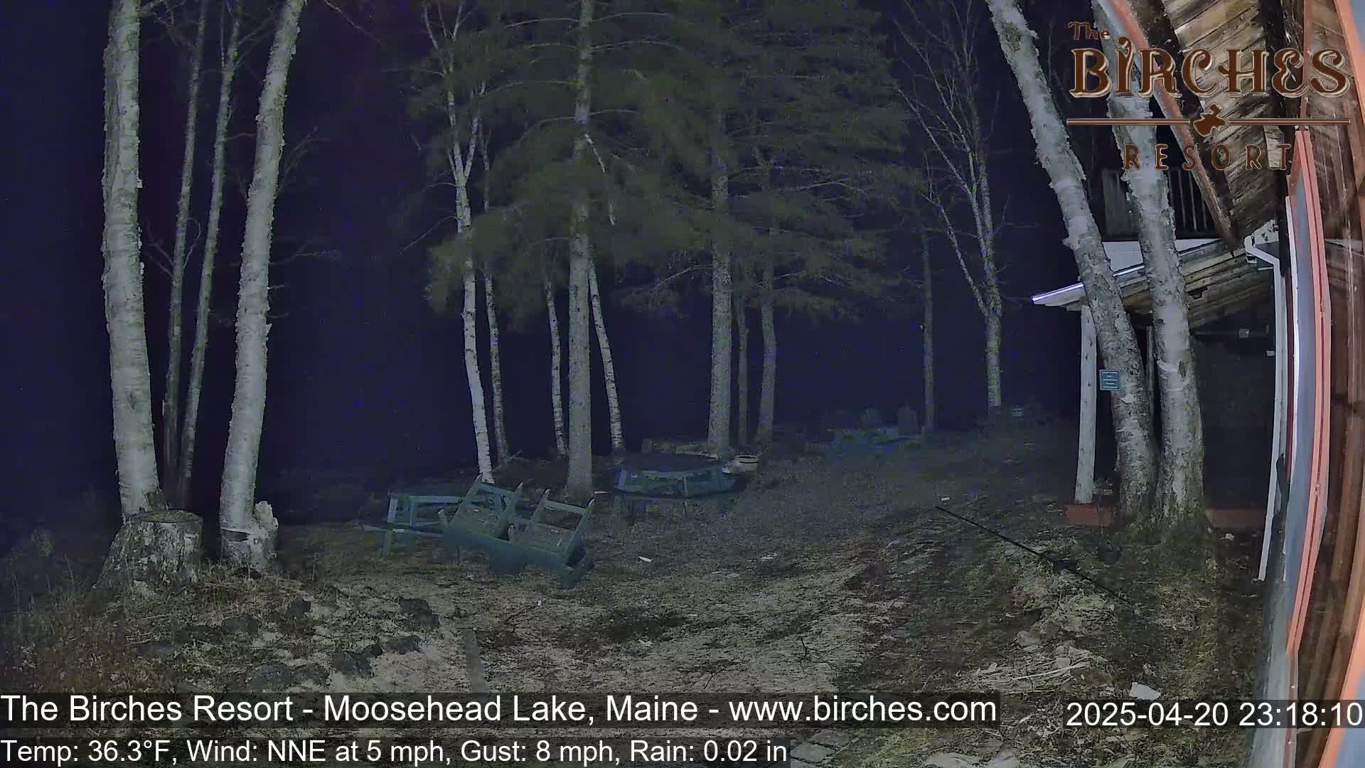 Overcast nighttime scene showing overturned outdoor furniture near birch trees under light rain.