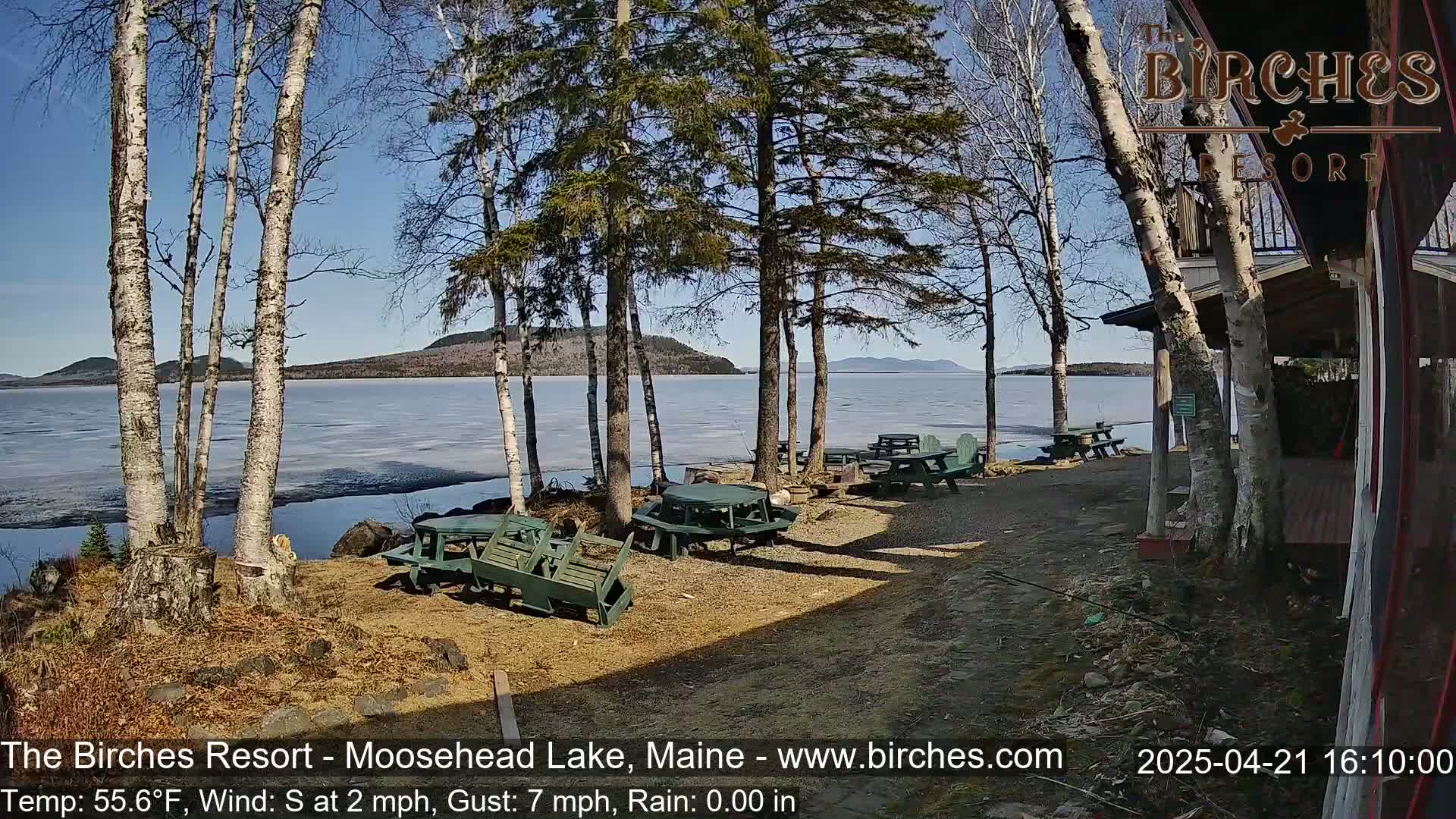 Several empty picnic tables sit near a lake partially covered in ice under a sunny sky, with birch trees and a building visible in the foreground.