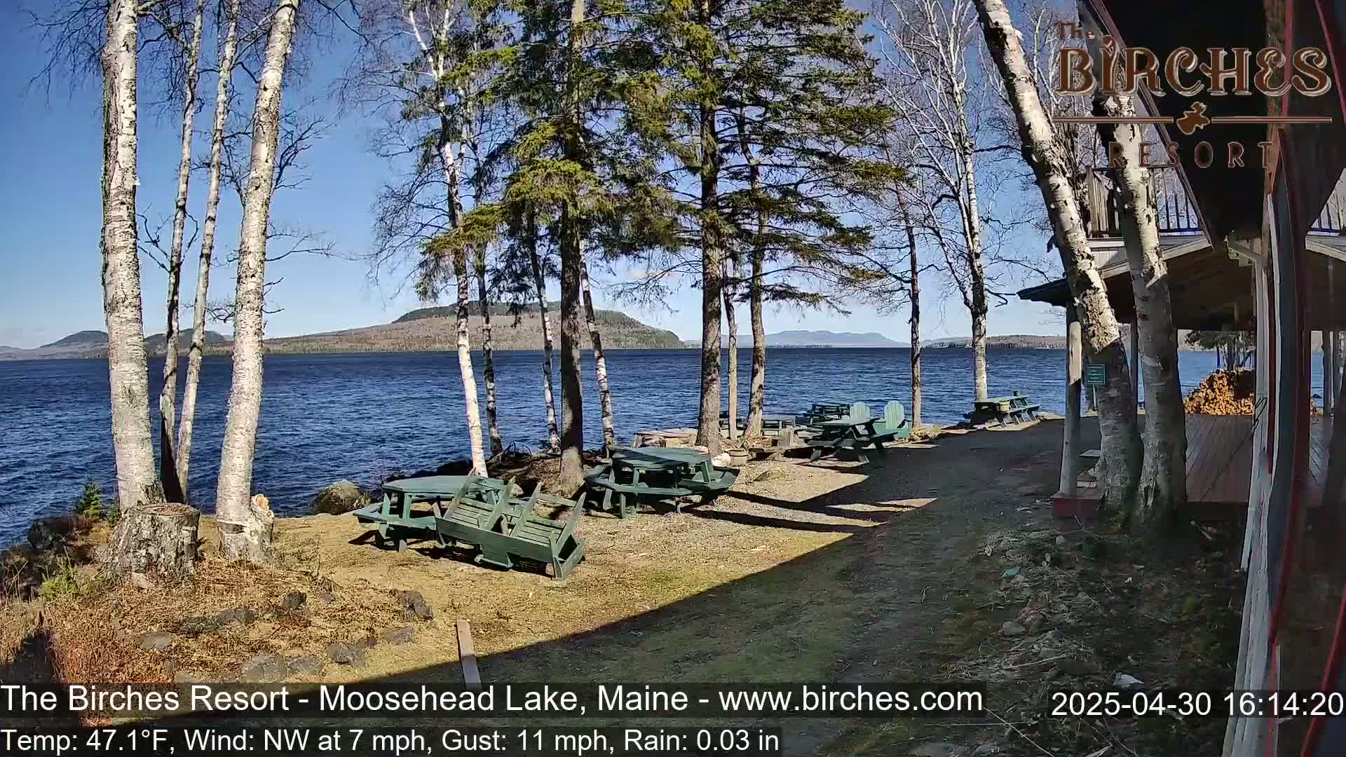 Several picnic tables sit on a lakeside patio under a sunny sky with a light rain, surrounded by birch and evergreen trees.