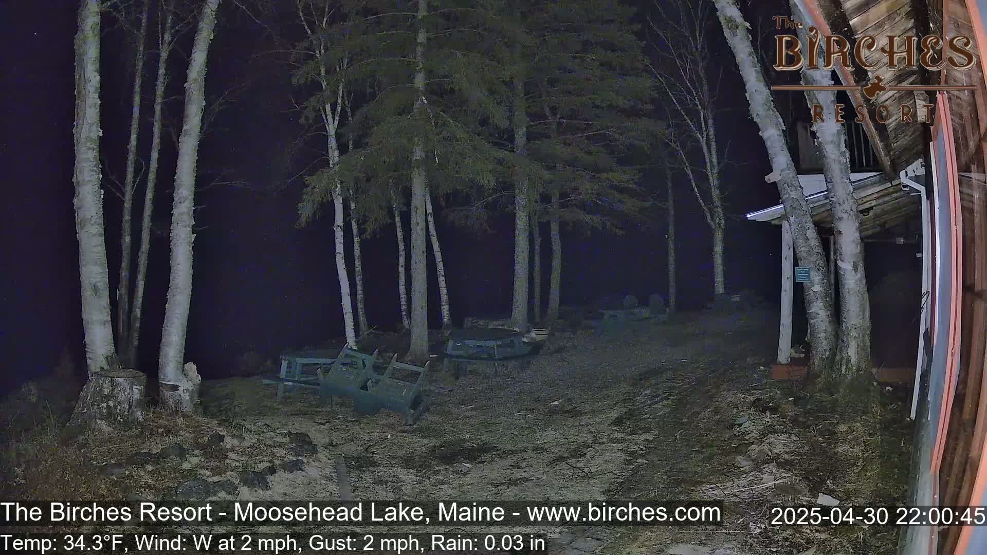 A nighttime, rainy scene shows several birch trees near a building and some overturned outdoor furniture on gravel ground.