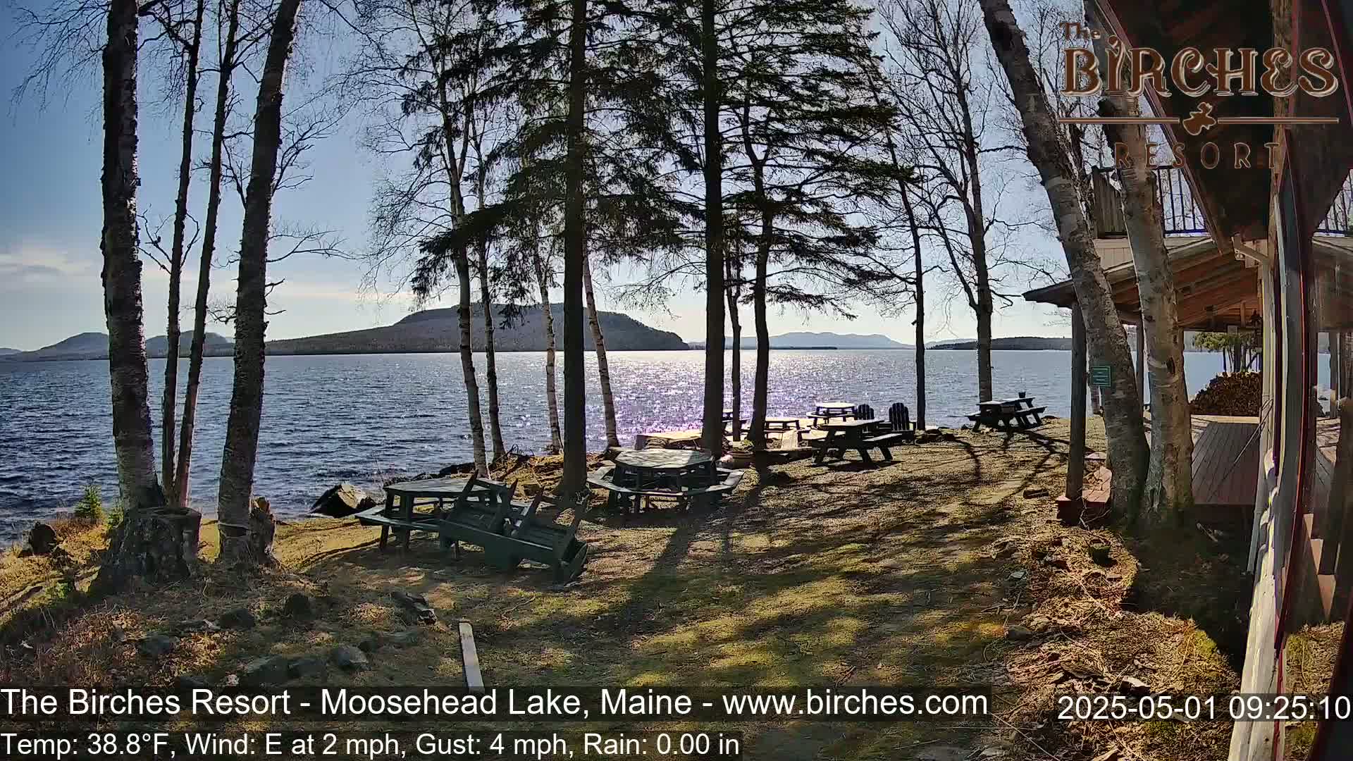 Several picnic tables sit on a lakeshore under a sunny sky near bare trees and a lakeside building.
