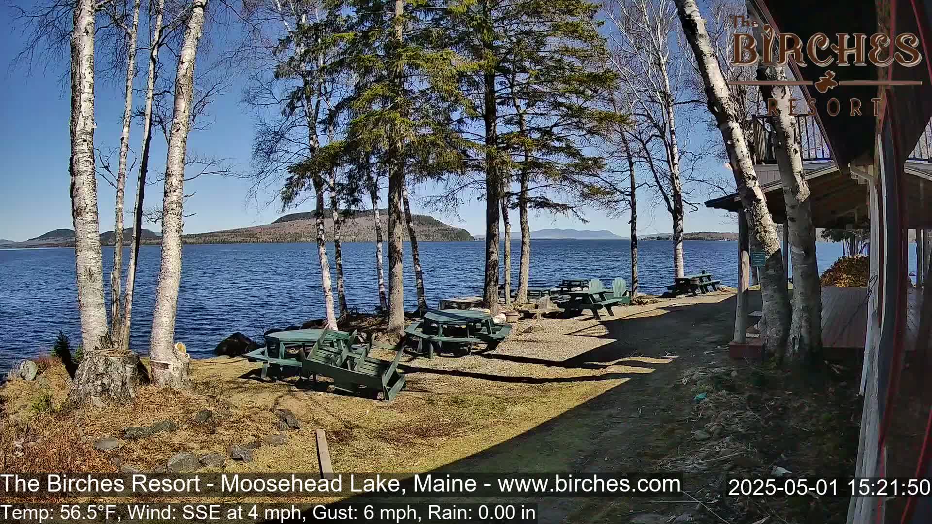Several picnic tables sit near a lakeshore under a sunny sky, surrounded by birch and pine trees.