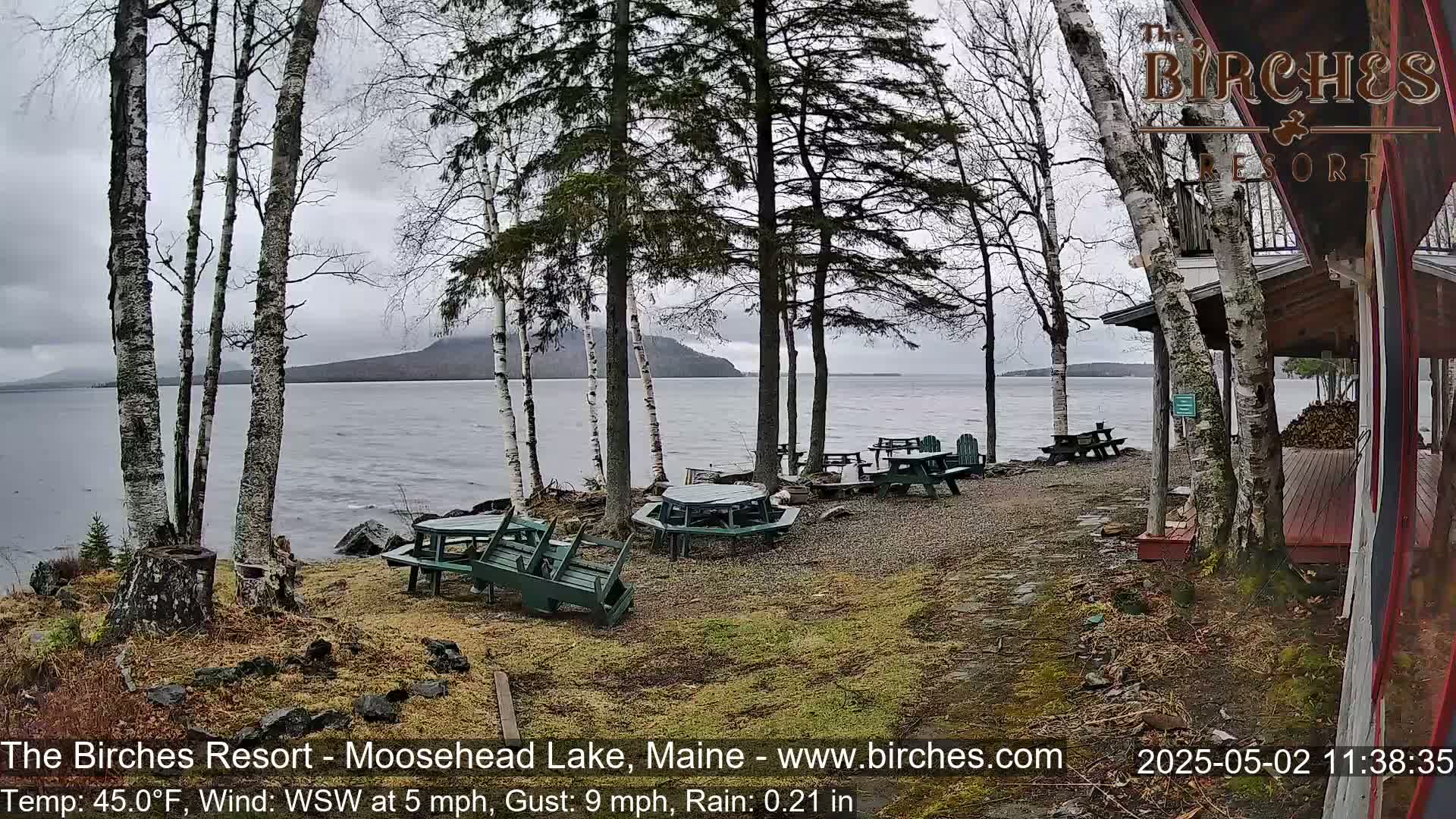 Overcast and rainy weather reveals a lakeside view with several picnic tables scattered near some birch trees and a building.