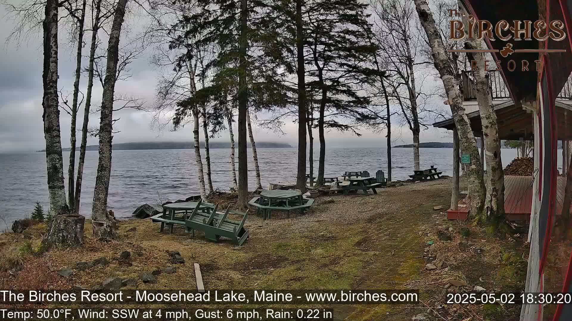 Several empty picnic tables are situated near a lakeshore under a gray, rainy sky, with bare trees and a building partially visible in the background.