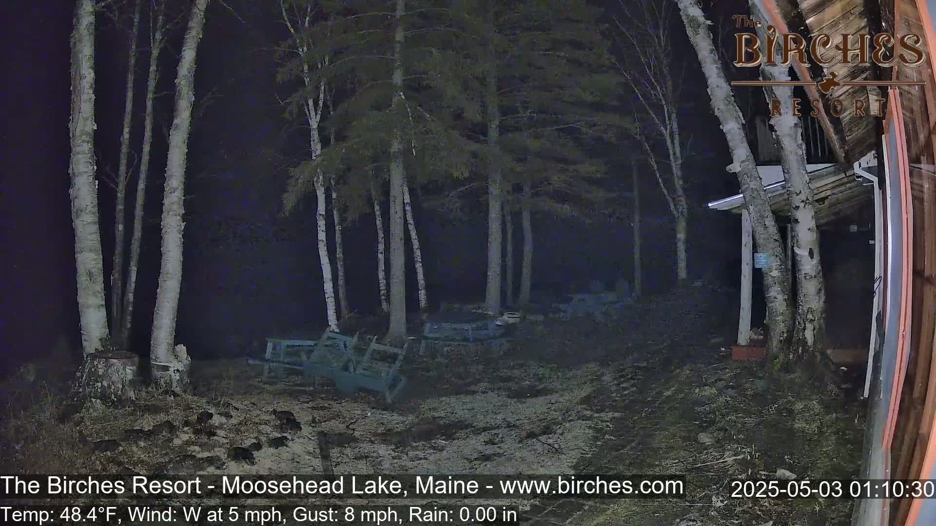 A nighttime scene shows overturned outdoor furniture and a group of dark animals near birch trees in a wooded area under a dark sky with a west wind.