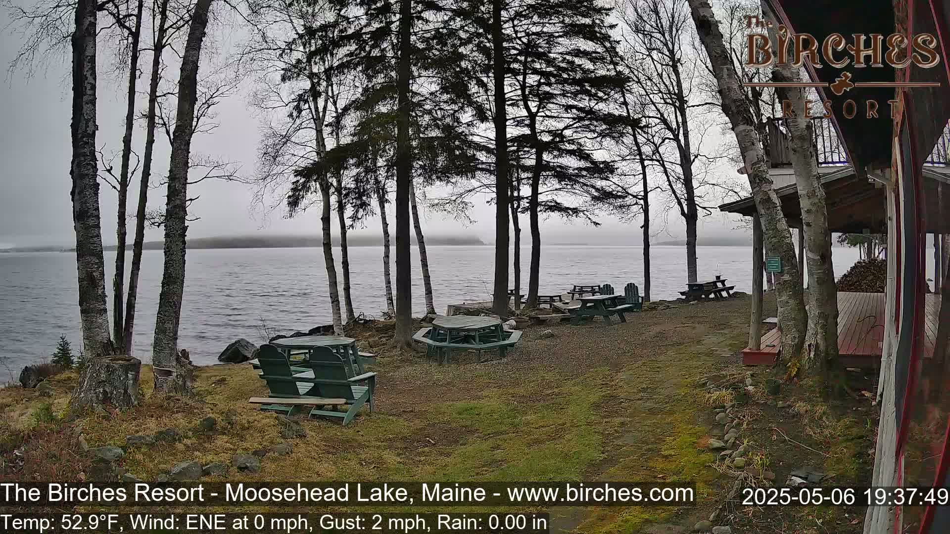 A lakeside area with several picnic tables and Adirondack chairs under bare trees in rainy weather, overlooking a calm lake.