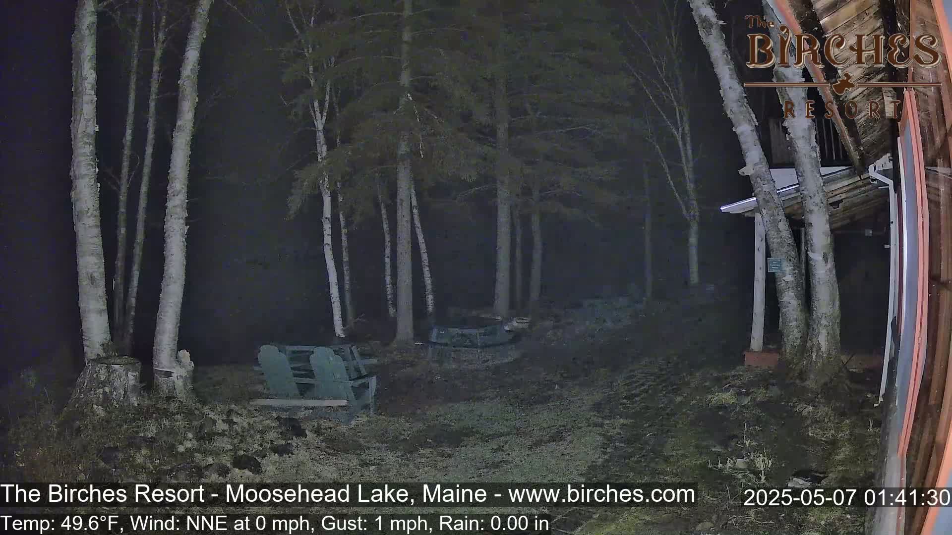 A nighttime, rainy scene shows a sparsely lit area with several birch trees, some outdoor furniture, and a portion of a building.