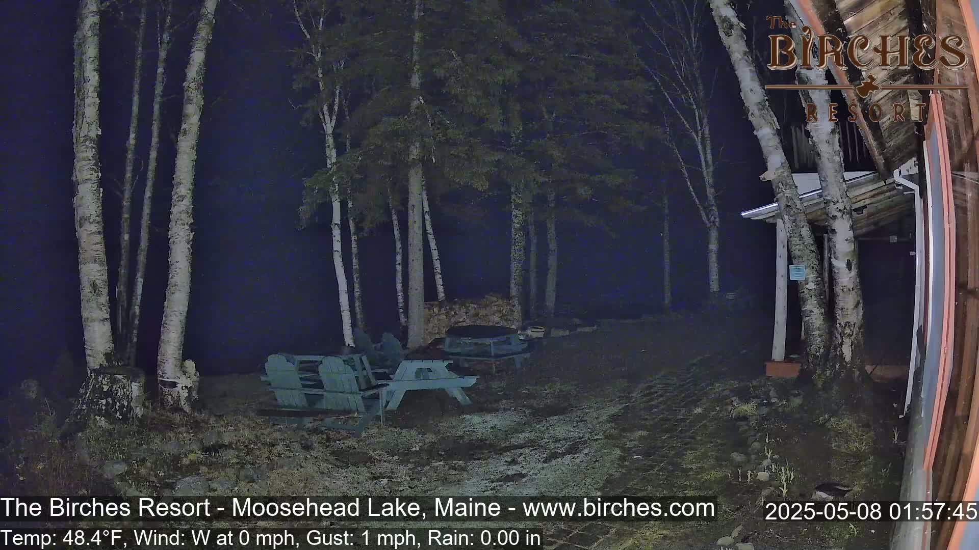 A nighttime outdoor scene shows several birch trees surrounding empty teal picnic tables and chairs near a building, under a dark, clear sky.