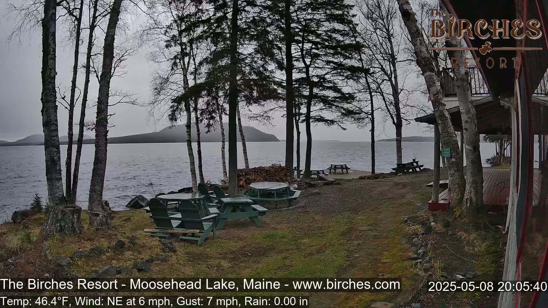 A lakeside patio with picnic tables, surrounded by birch trees, overlooks a calm lake under an overcast sky.