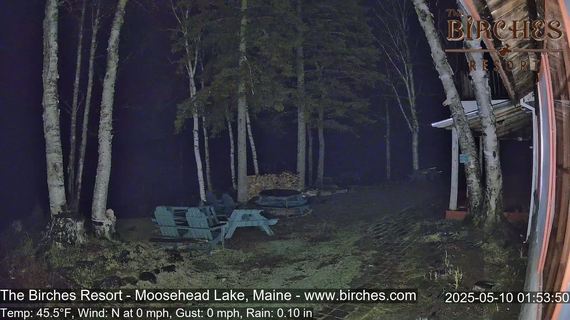A nighttime scene shows several birch trees surrounding a sparsely lit area with a few empty Adirondack chairs and a pile of wood, under light rain.
