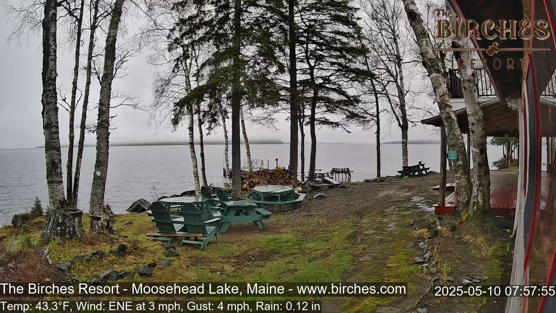 A lakeside patio with picnic tables is partially obscured by birch trees in rainy, overcast weather.