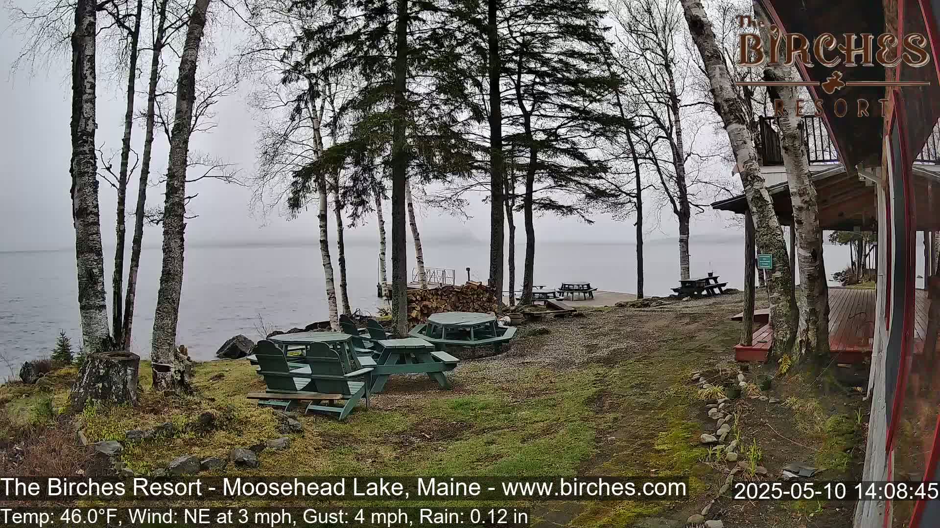 A lakeside view on a misty day shows several picnic tables and chairs near a building with a porch, surrounded by birch trees.