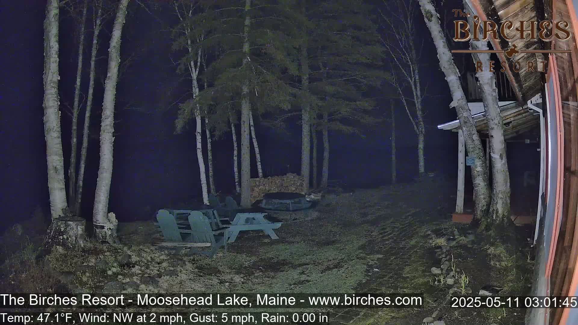 A nighttime view of a sparsely lit resort area shows a few Adirondack chairs and a picnic table near a wood pile and some birch trees under a dark sky with no rain.
