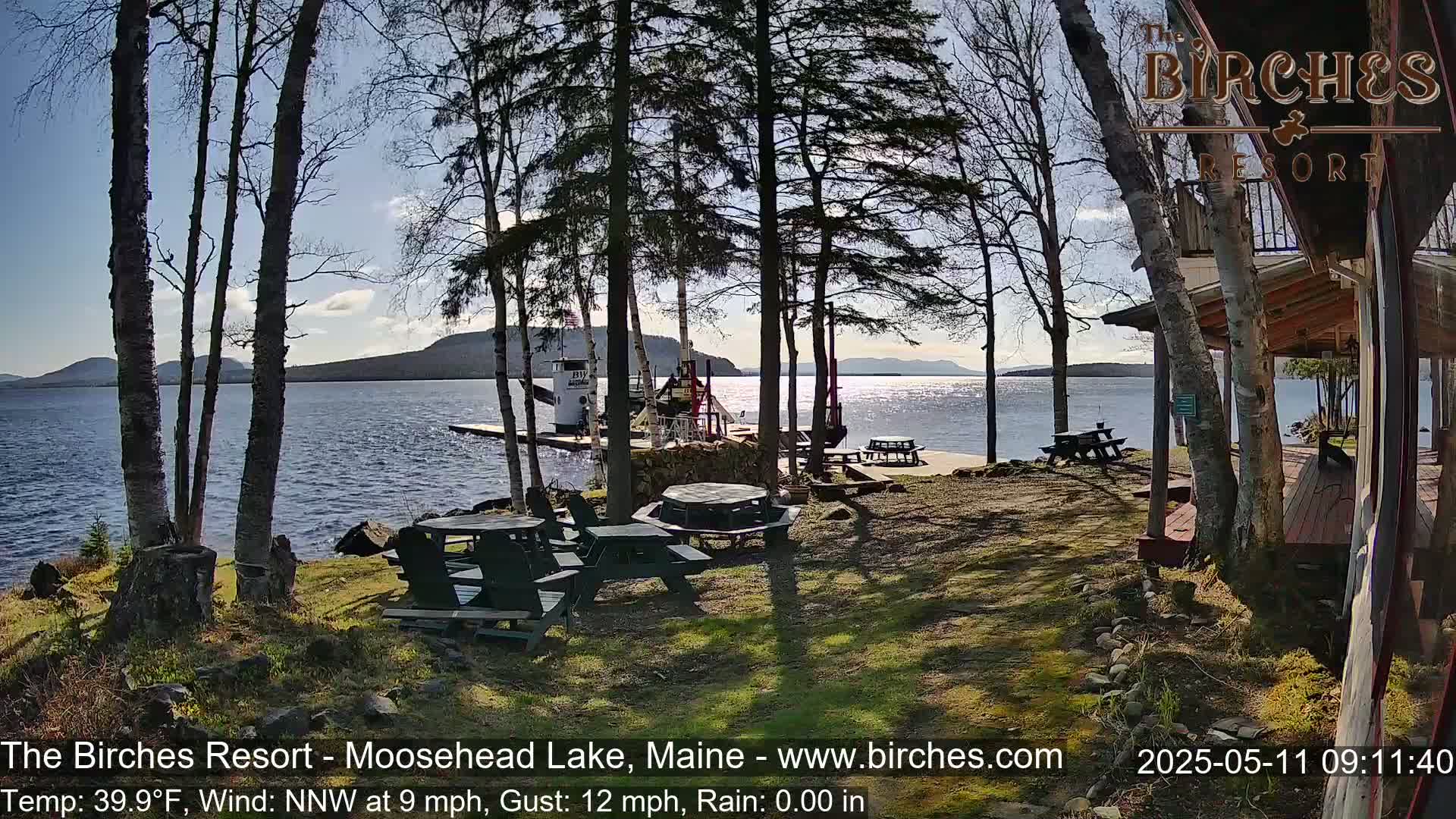 A sunny lakeside resort with picnic tables and a boat dock, partially obscured by birch trees.