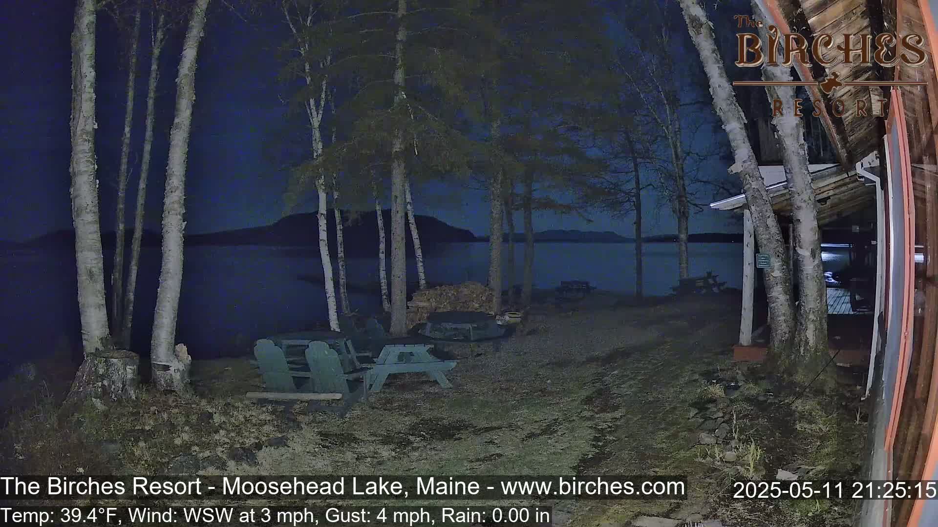 A nighttime lakeside view shows several birch trees near picnic tables and a building, under a dark sky with calm weather.