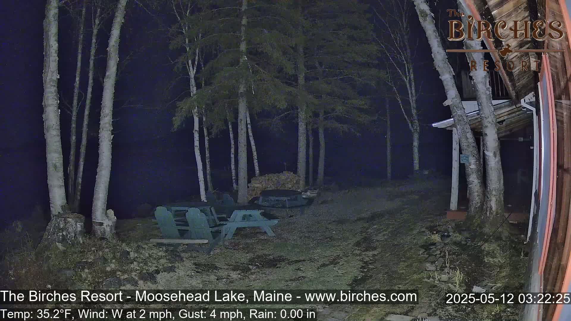 A nighttime scene shows a sparsely lit outdoor area with picnic tables near birch trees under a dark, rainy sky.
