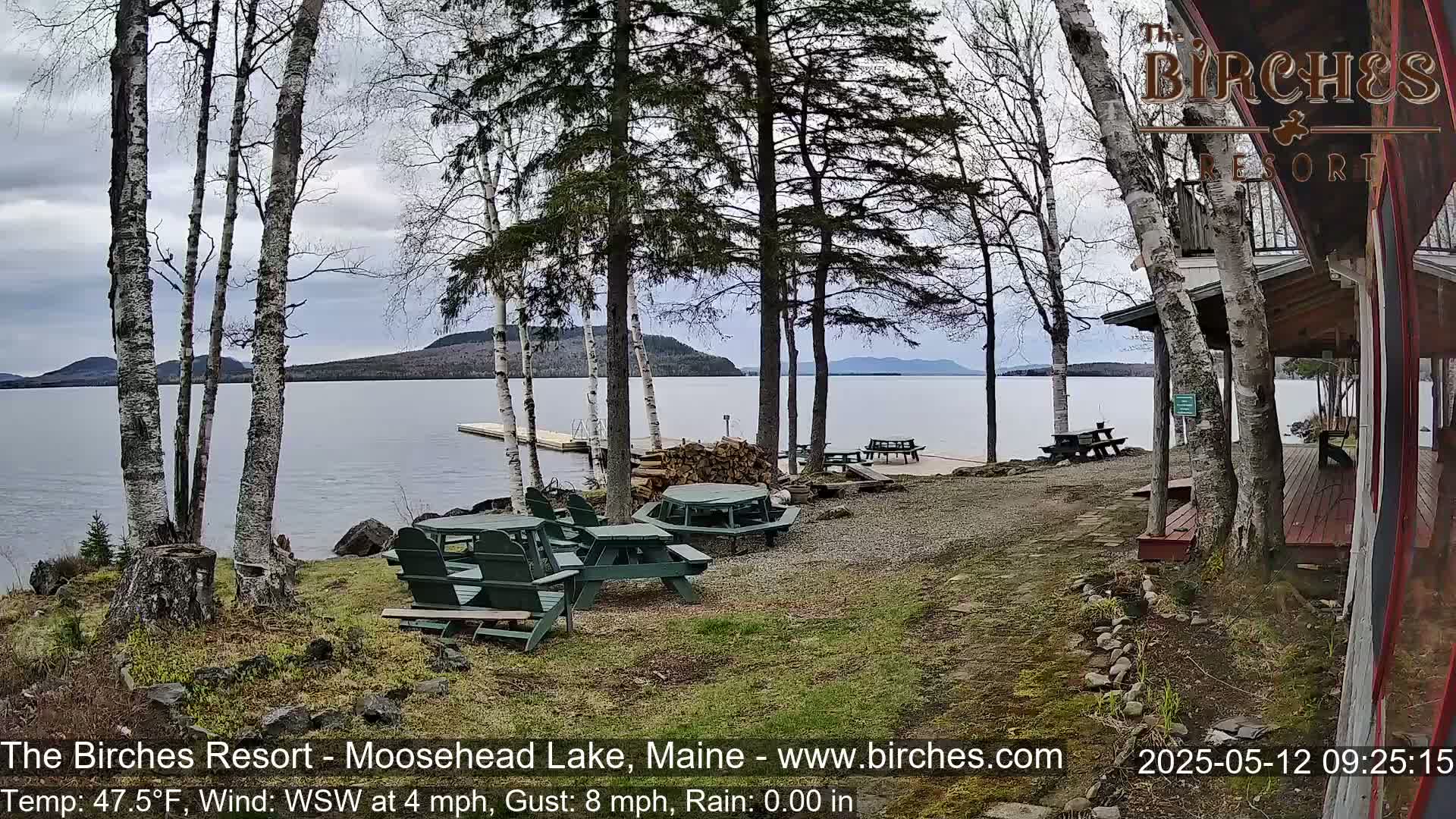 A lakeside patio with several picnic tables and chairs is surrounded by birch trees under an overcast sky.