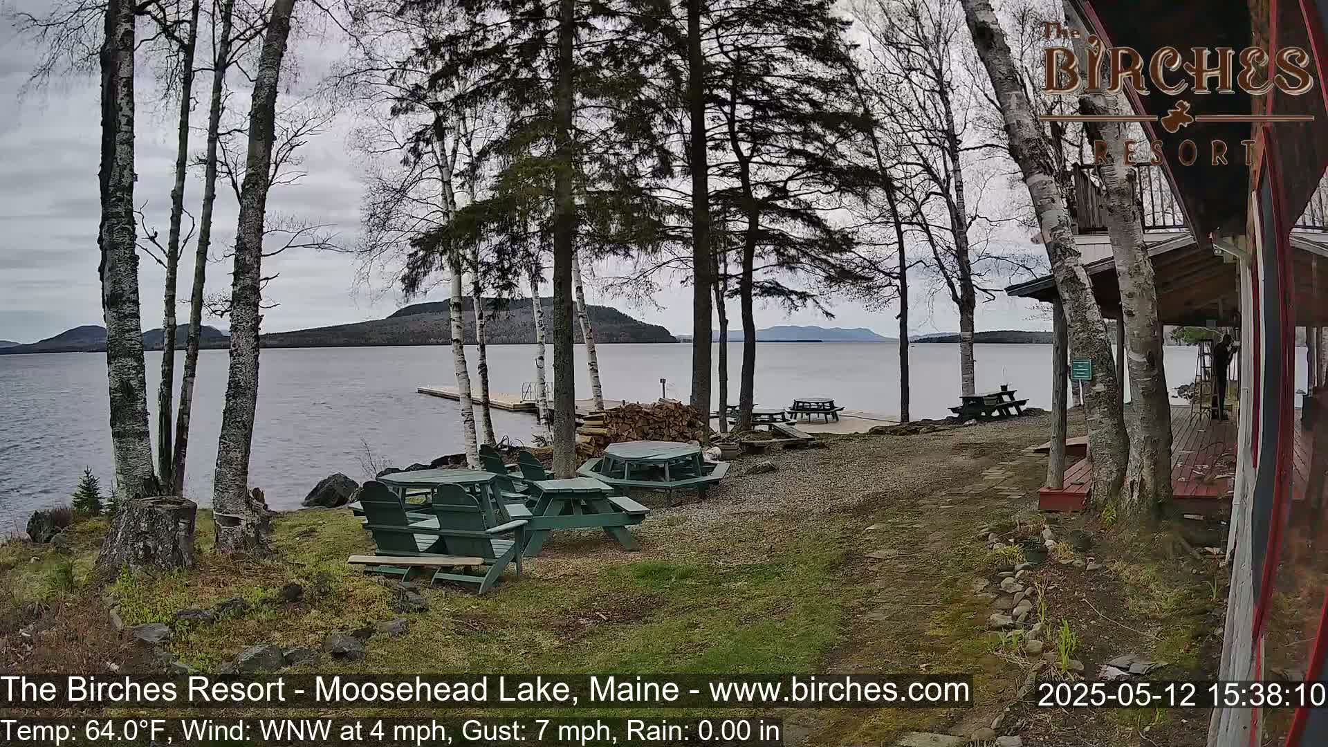 A lakeside view with several green picnic tables and a dock under an overcast sky.