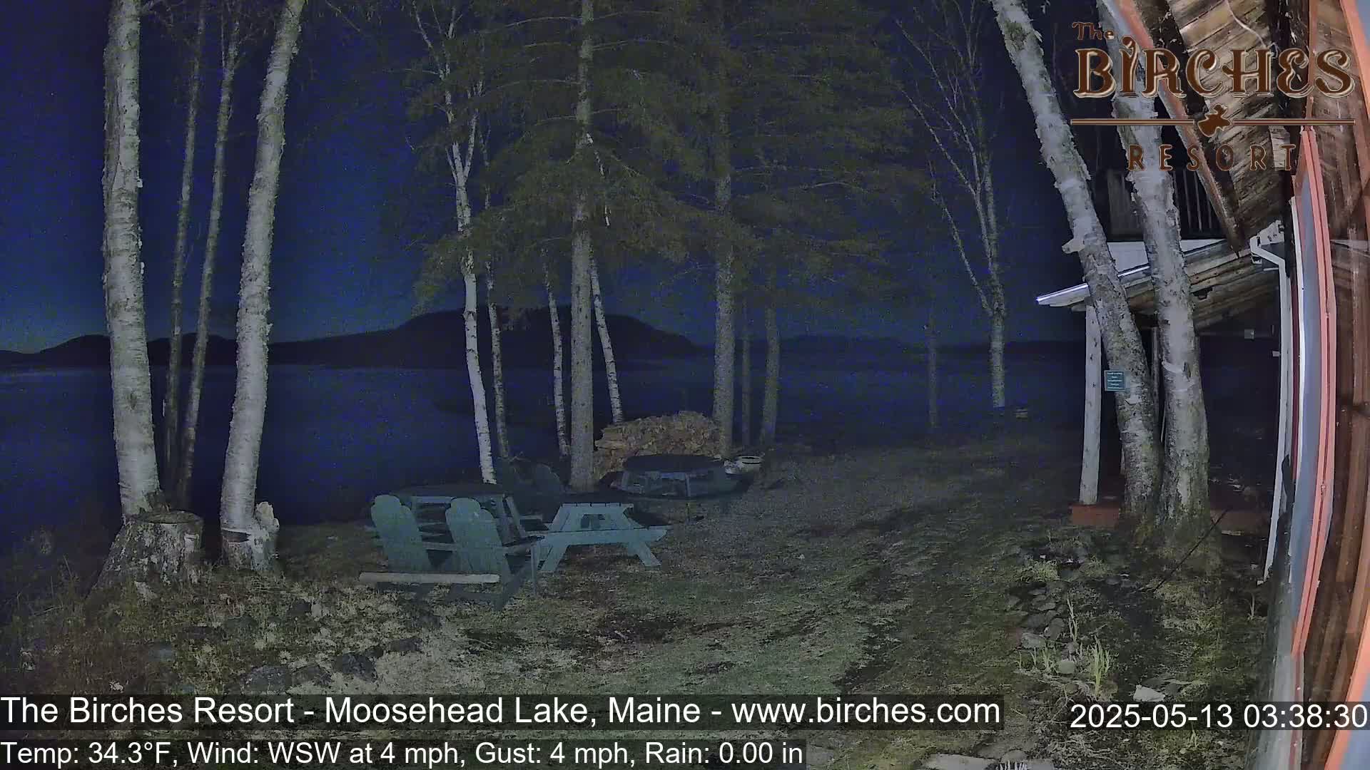 A nighttime lakeside scene shows several birch trees near a picnic table and fire pit, with calm water and a dark sky.