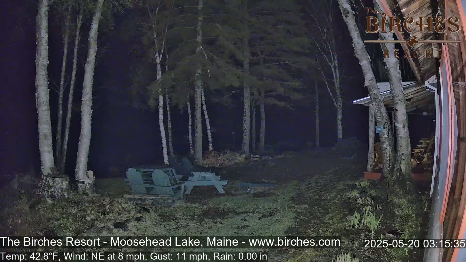 A nighttime view of a grassy area with birch trees, a picnic table, and chairs near a building under rainy conditions.