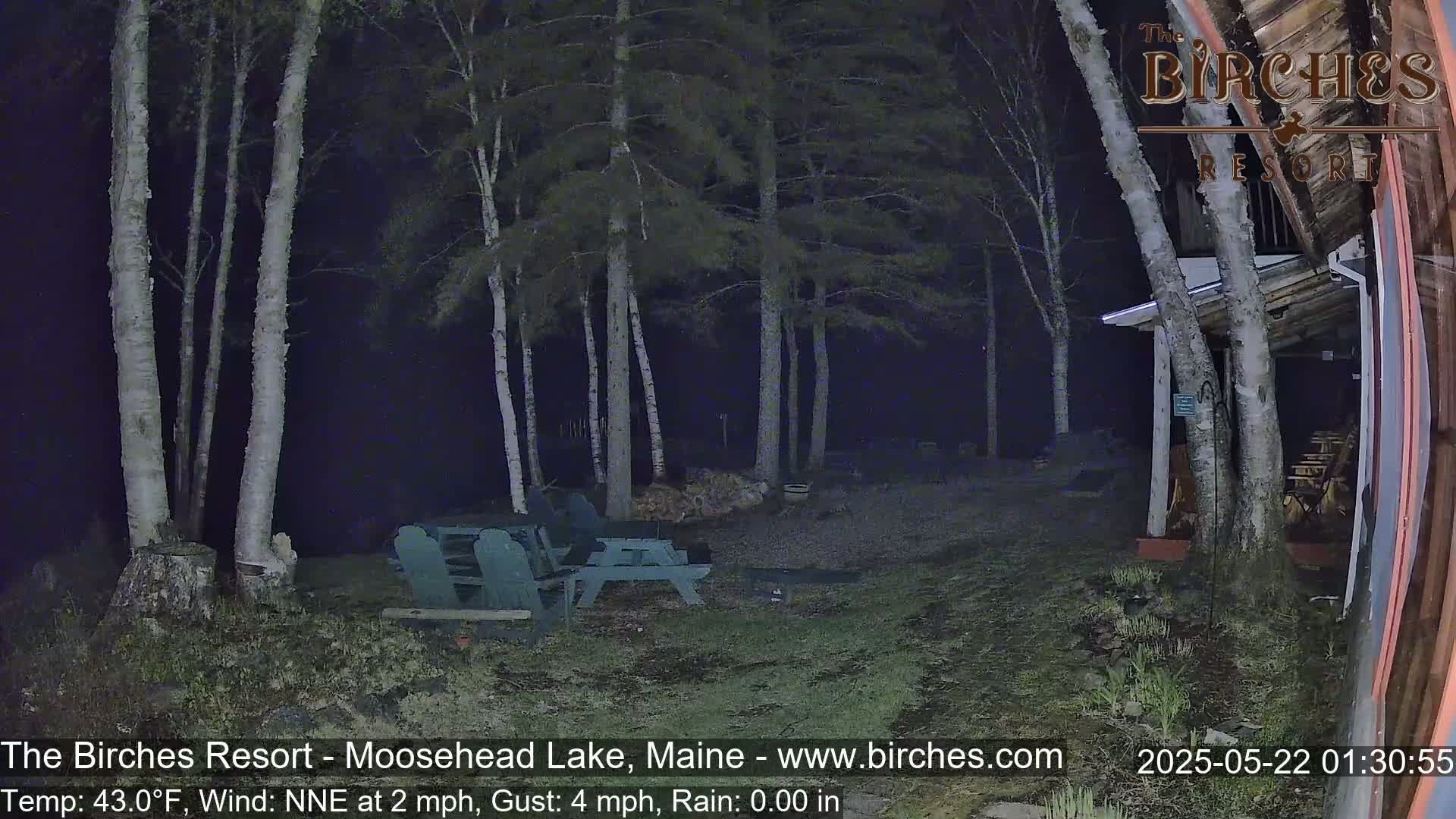 A nighttime, rainy scene shows a sparsely lit grassy area with picnic tables near a building partially obscured by birch trees.