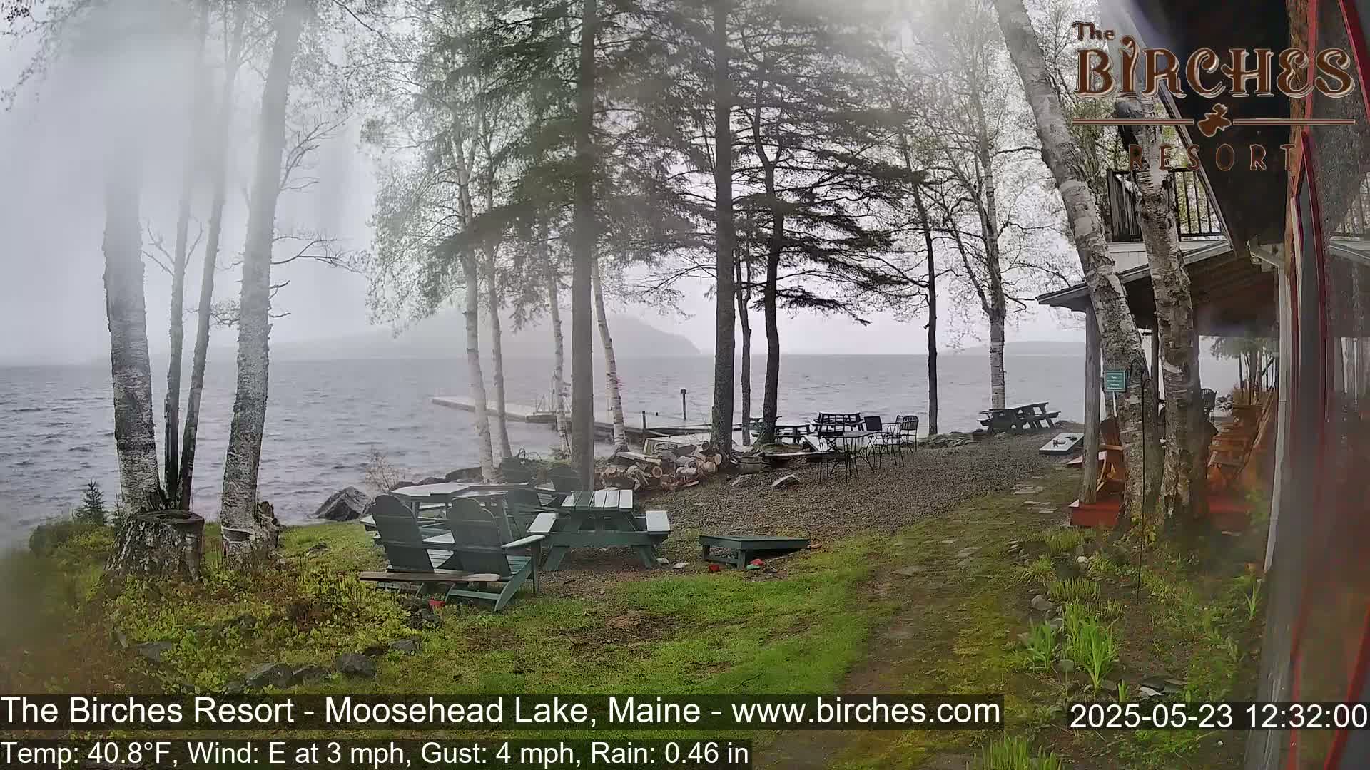 A lakeside patio with picnic tables and Adirondack chairs is seen in rainy weather, partially obscured by birch trees.
