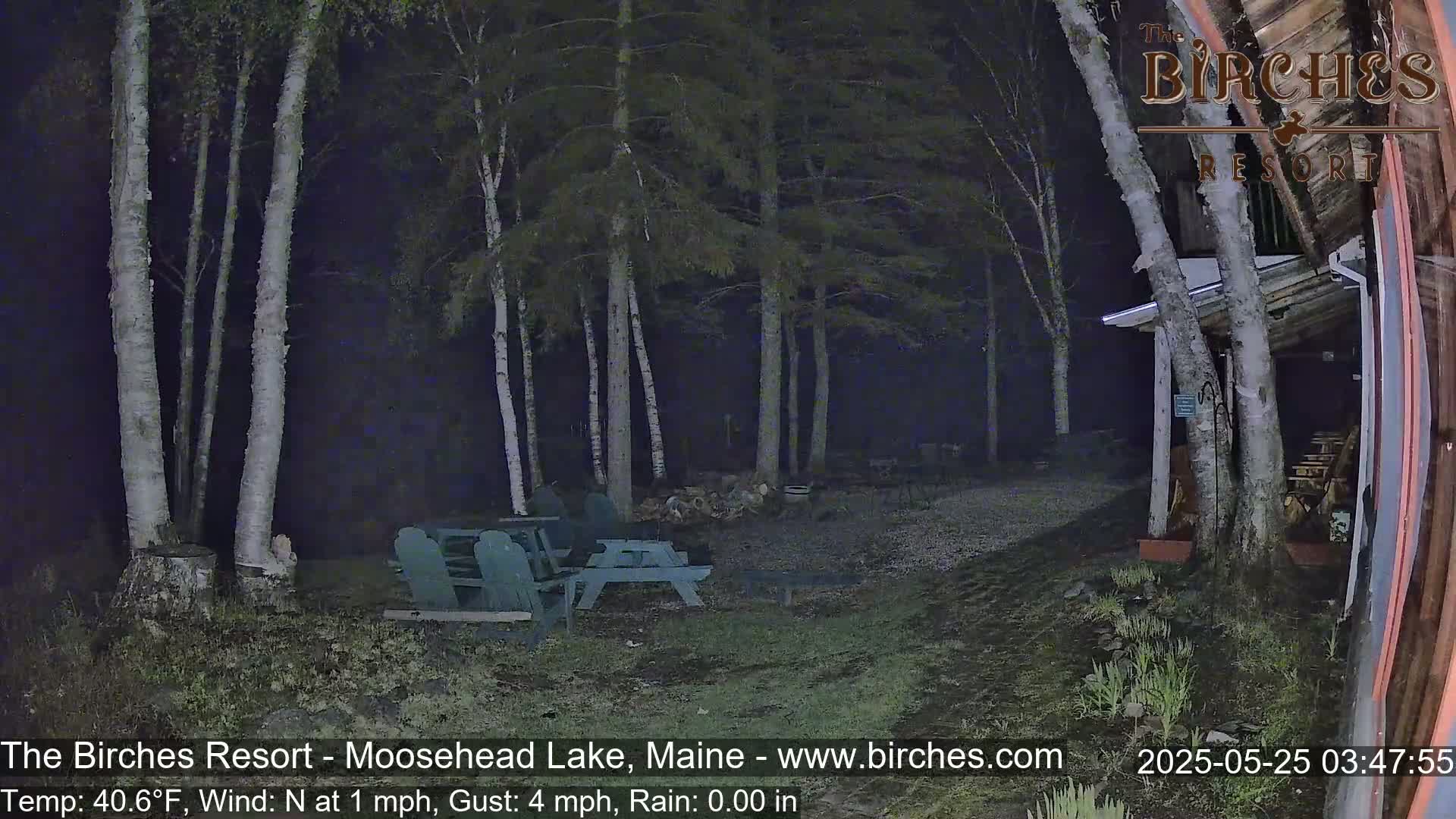 A nighttime view of a sparsely lit outdoor area with picnic tables and birch trees, under a dark sky with no rain.