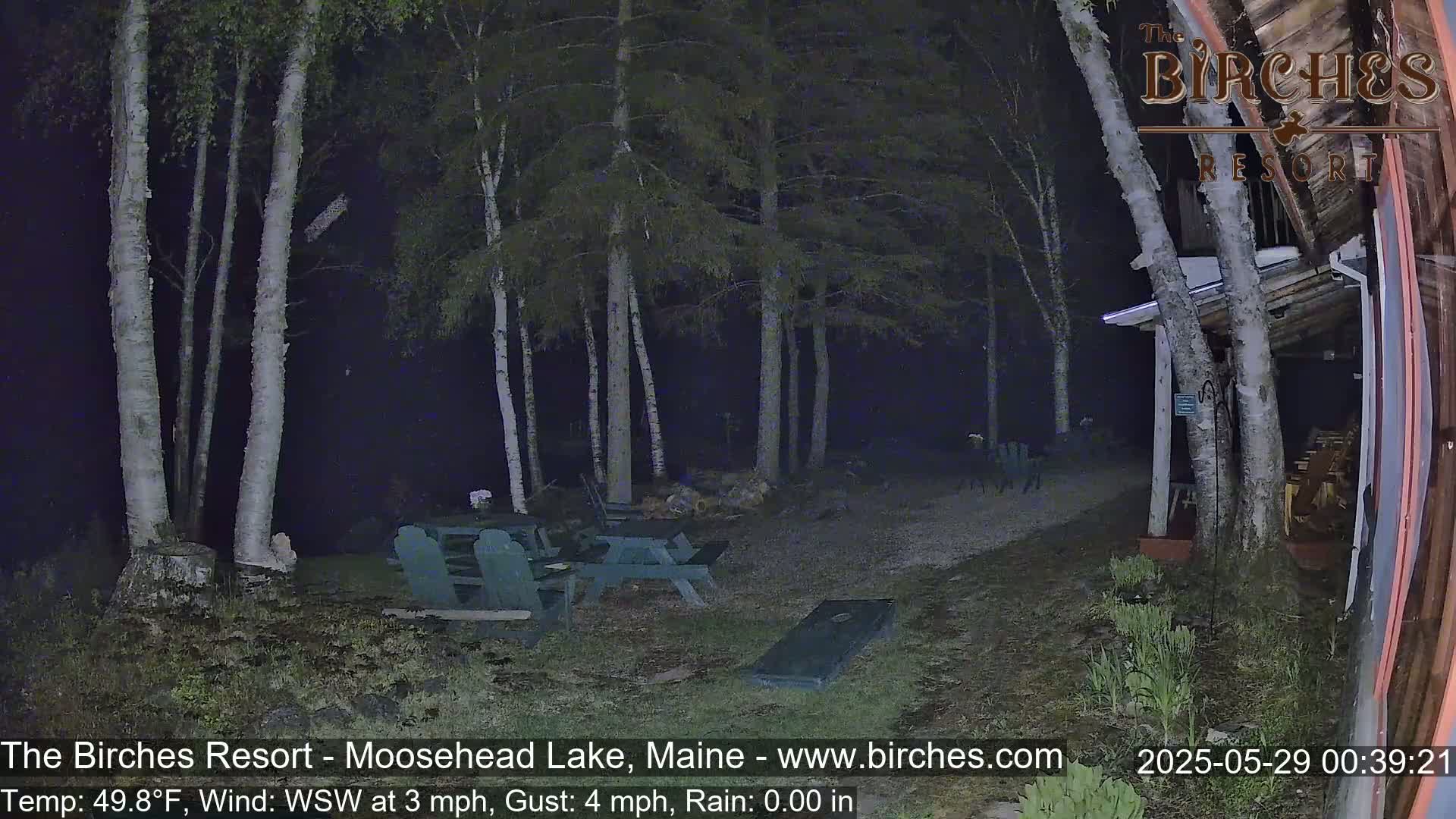A nighttime scene shows a gravel area with picnic tables and a cornhole board, surrounded by birch trees in the rain.