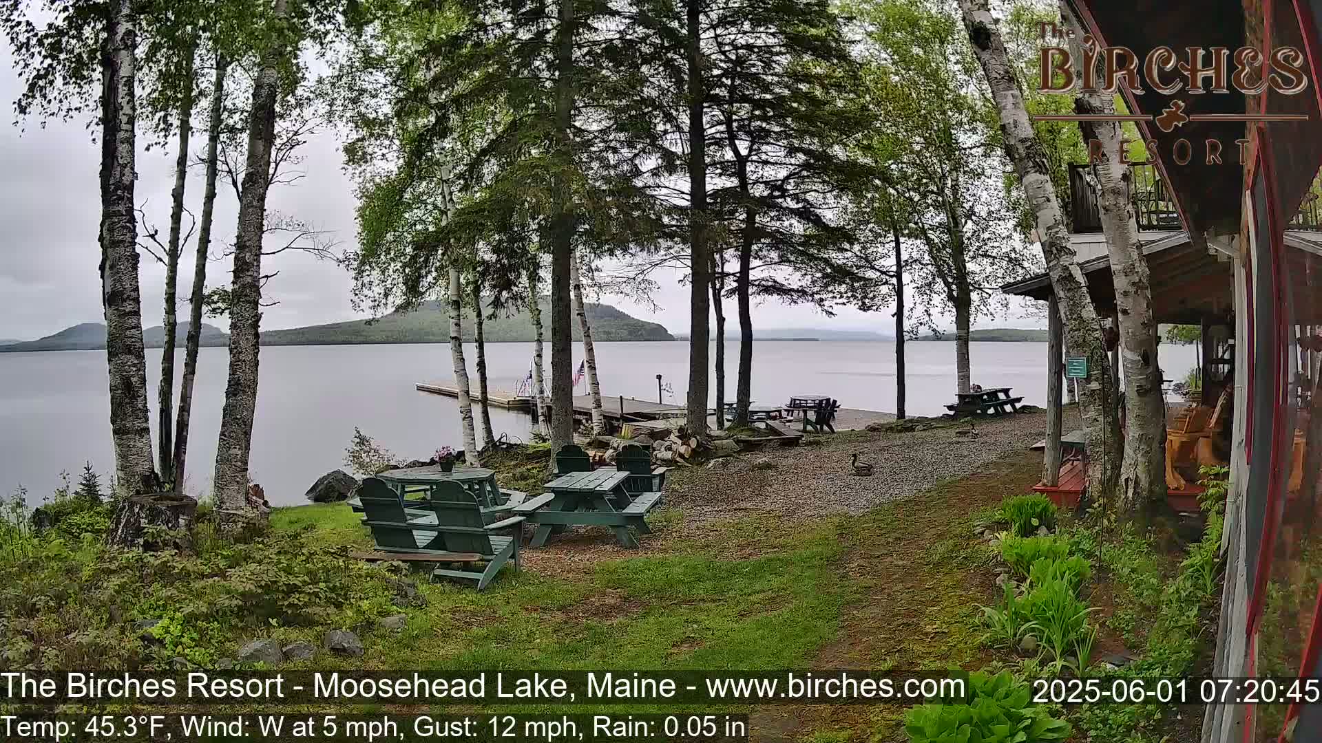 A lakeside resort patio with picnic tables and chairs, under a cloudy sky with light rain, overlooks a calm lake and distant mountains.